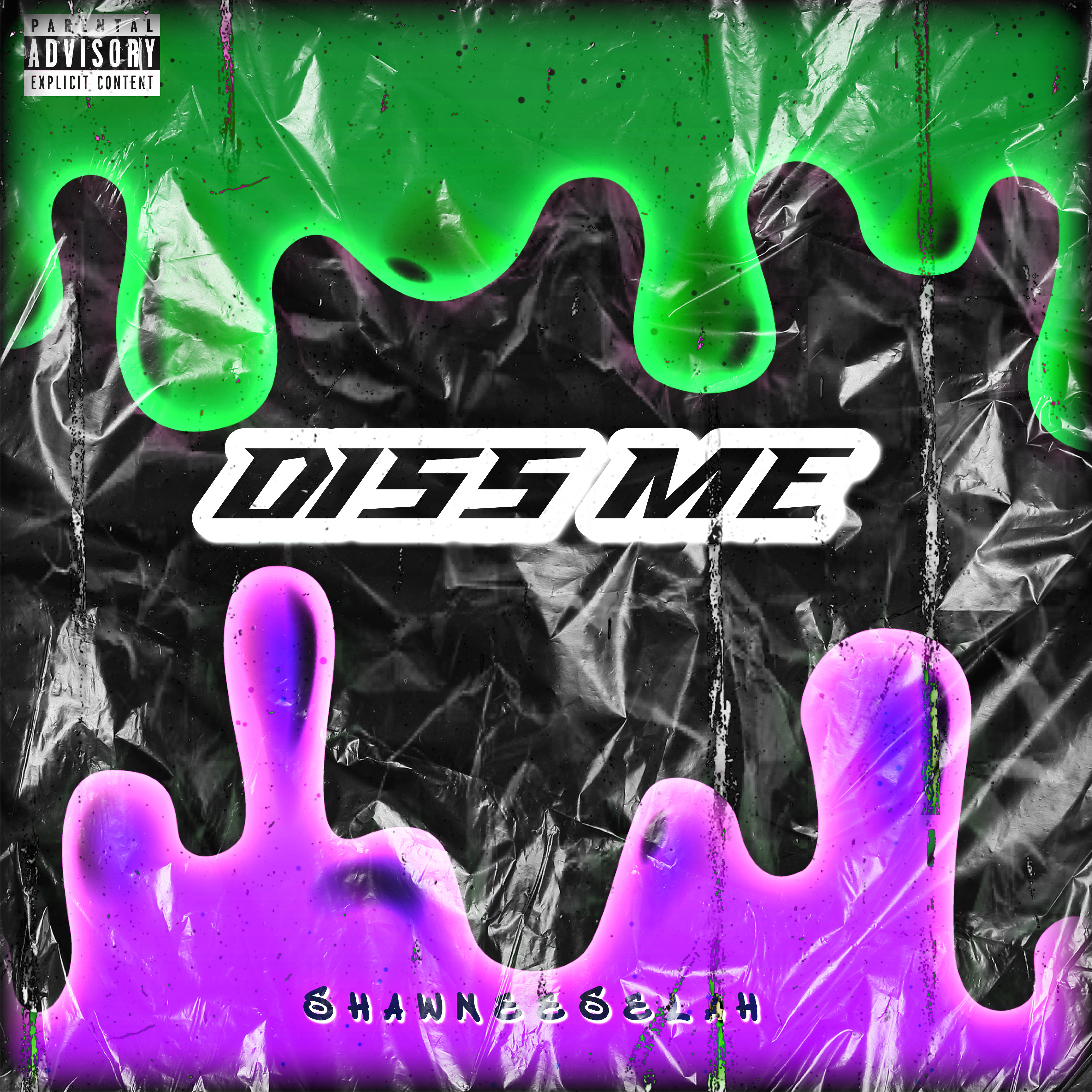 DISS ME artwork