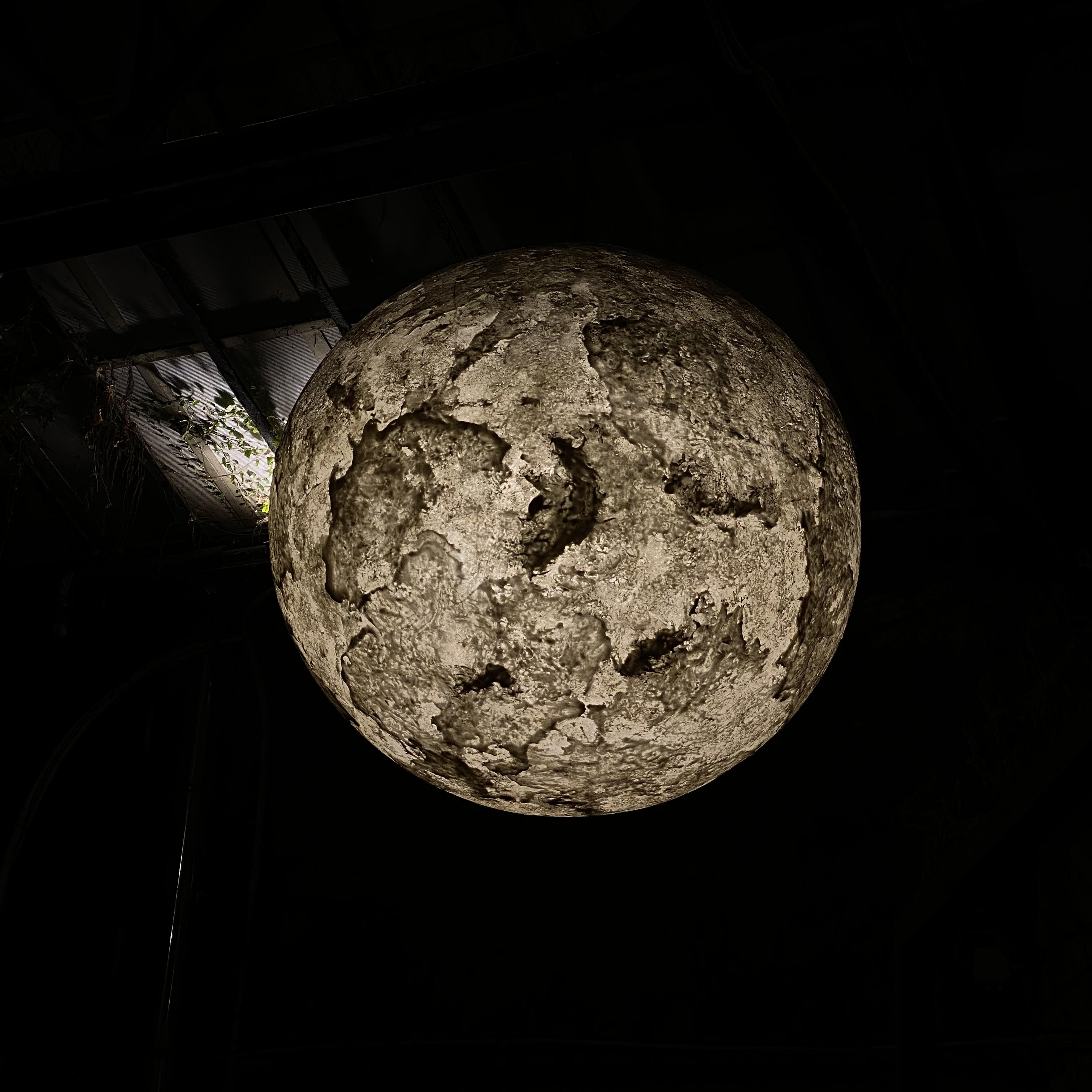 When Canis Major Barked artwork