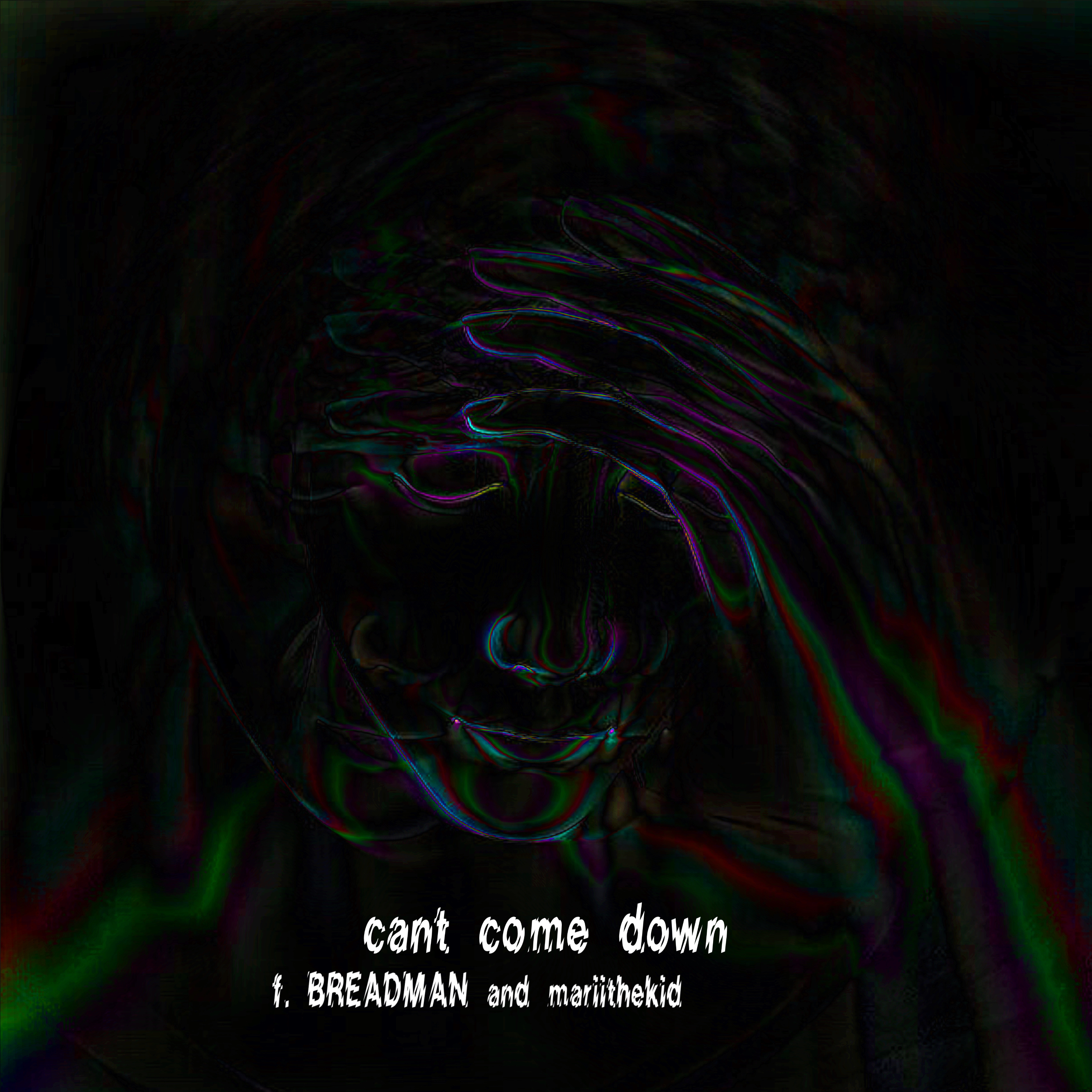 cant come down artwork