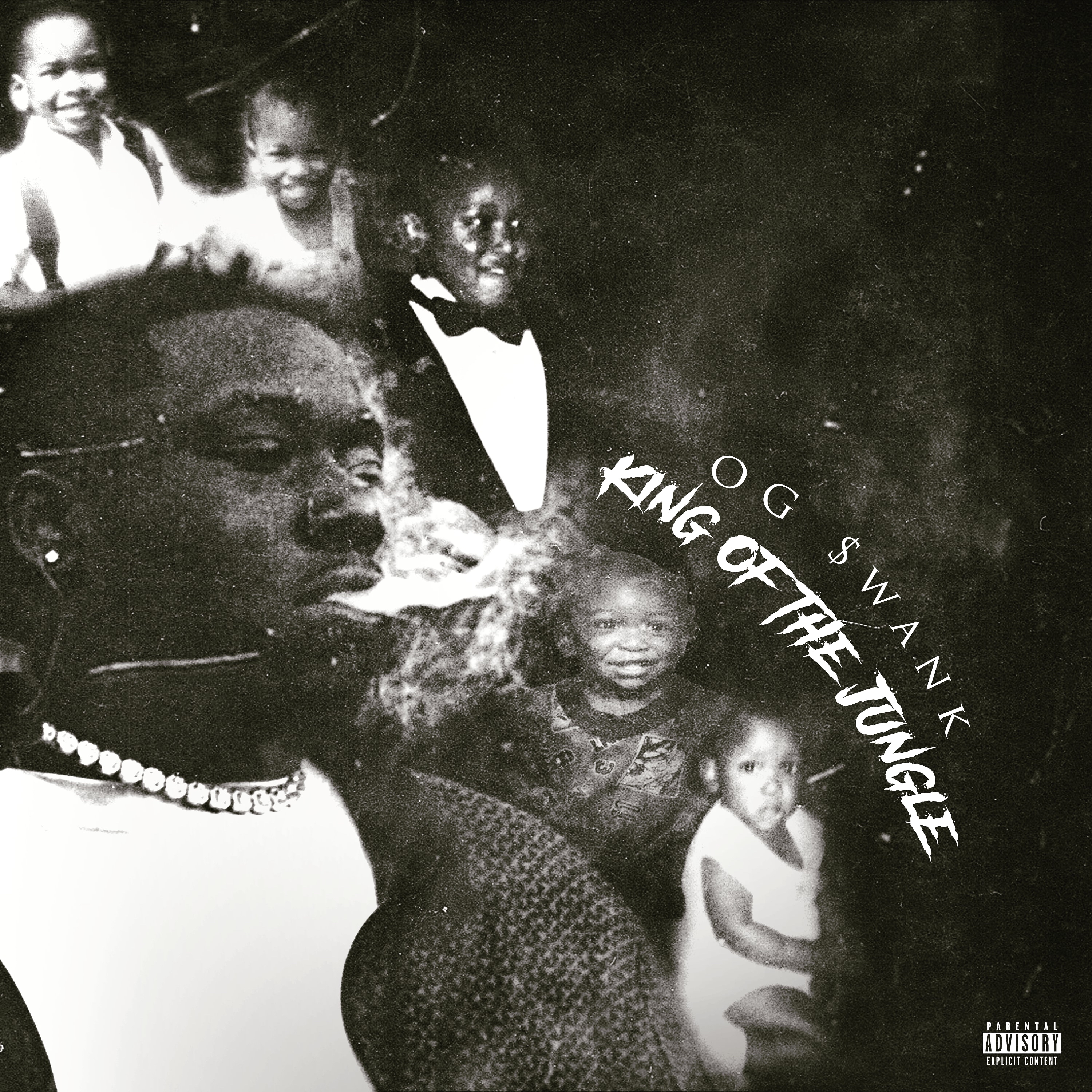 King Of The Jungle artwork