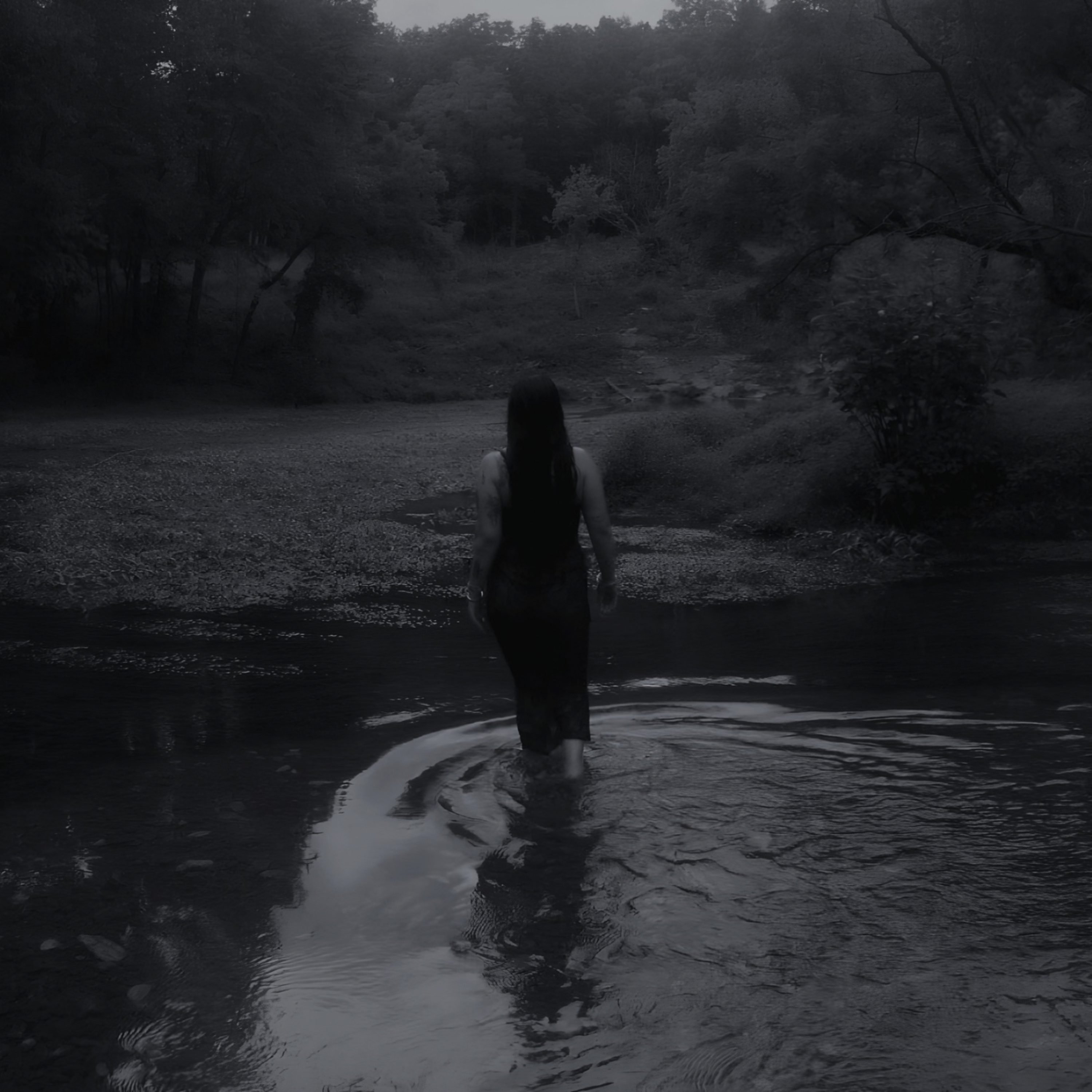 Siren by Widow Wydell
