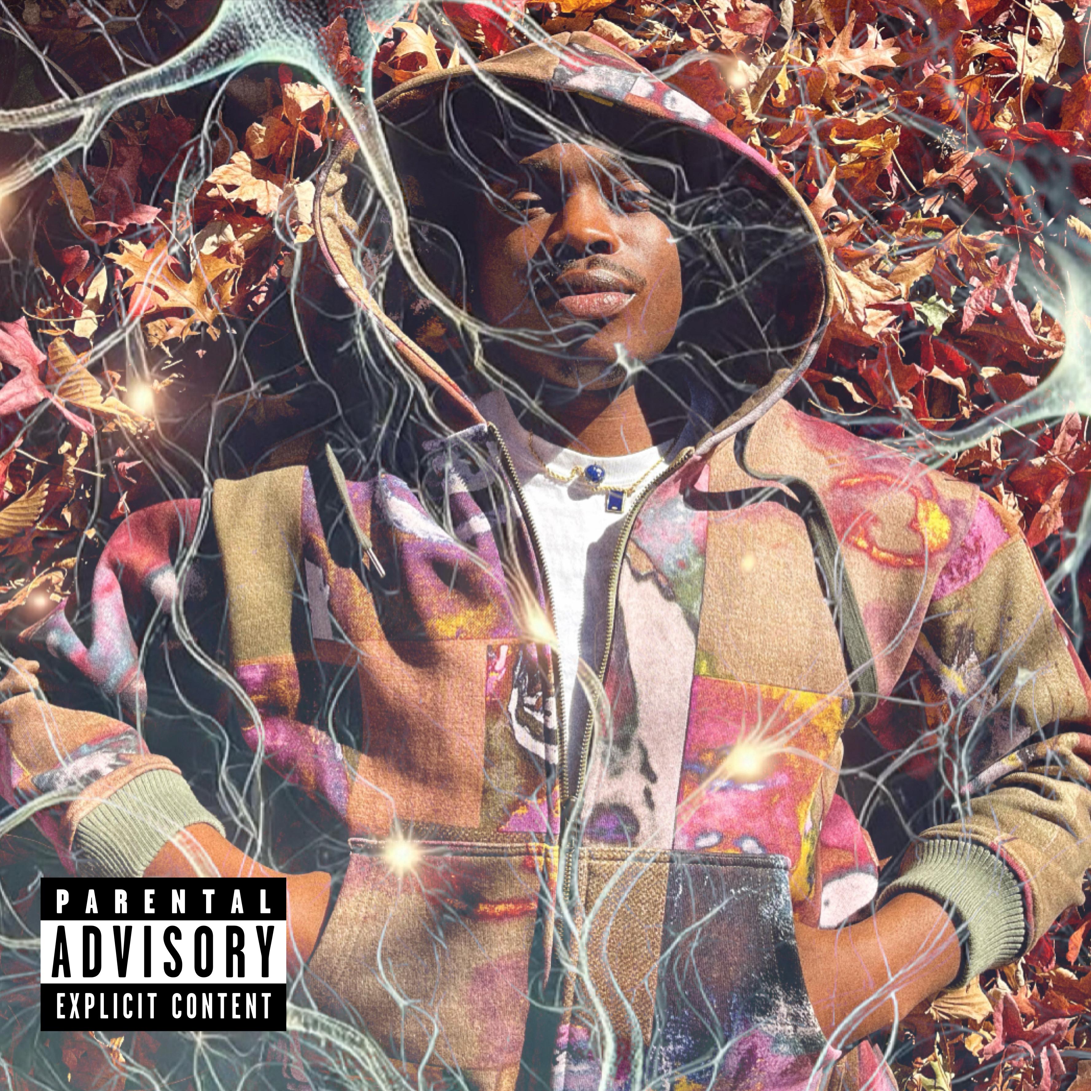 Insomniac artwork