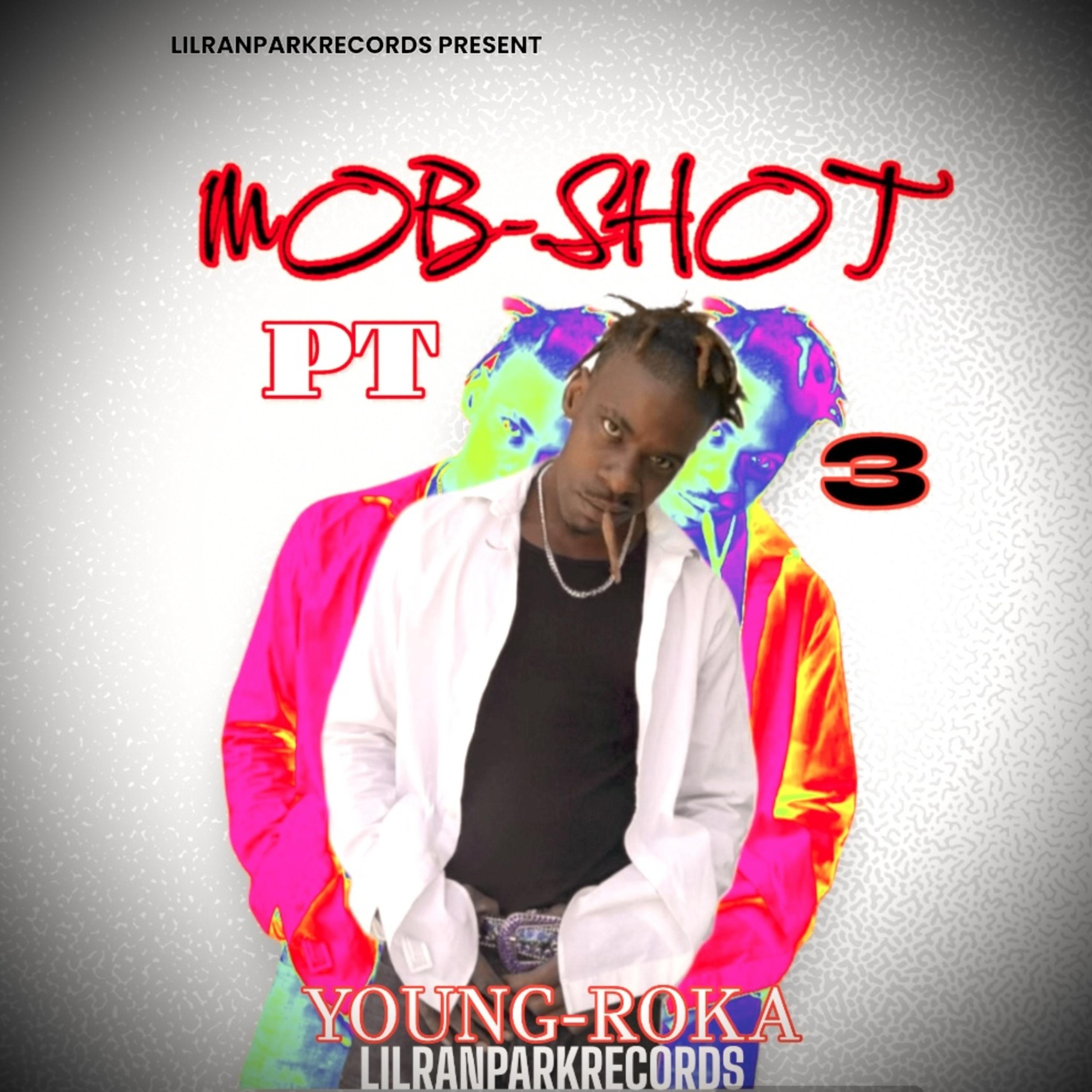 MOB-SHOT pt 3 artwork