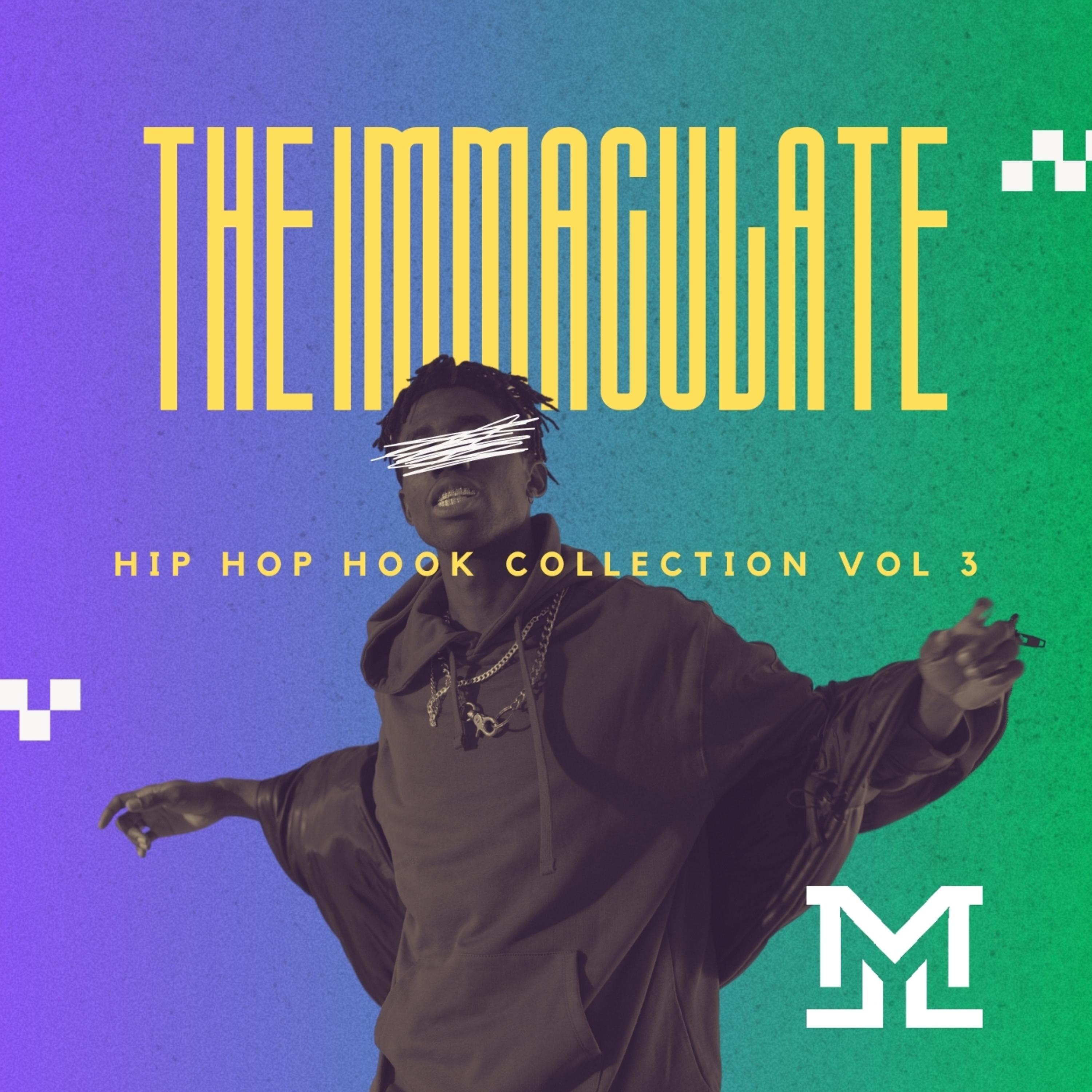 The Immaculate Hip Hop Hook Collection Vol 3 artwork