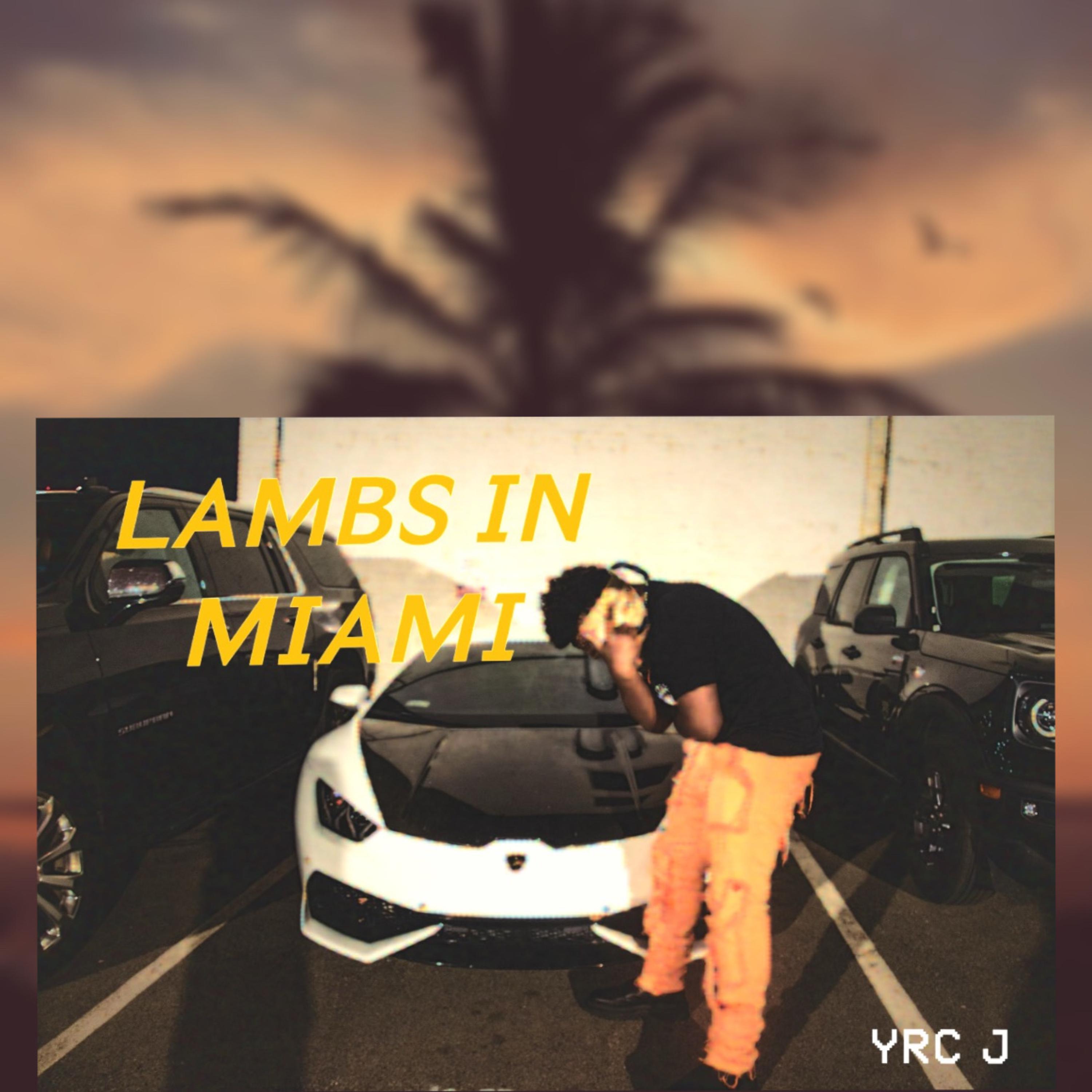 Lambs In Miami artwork