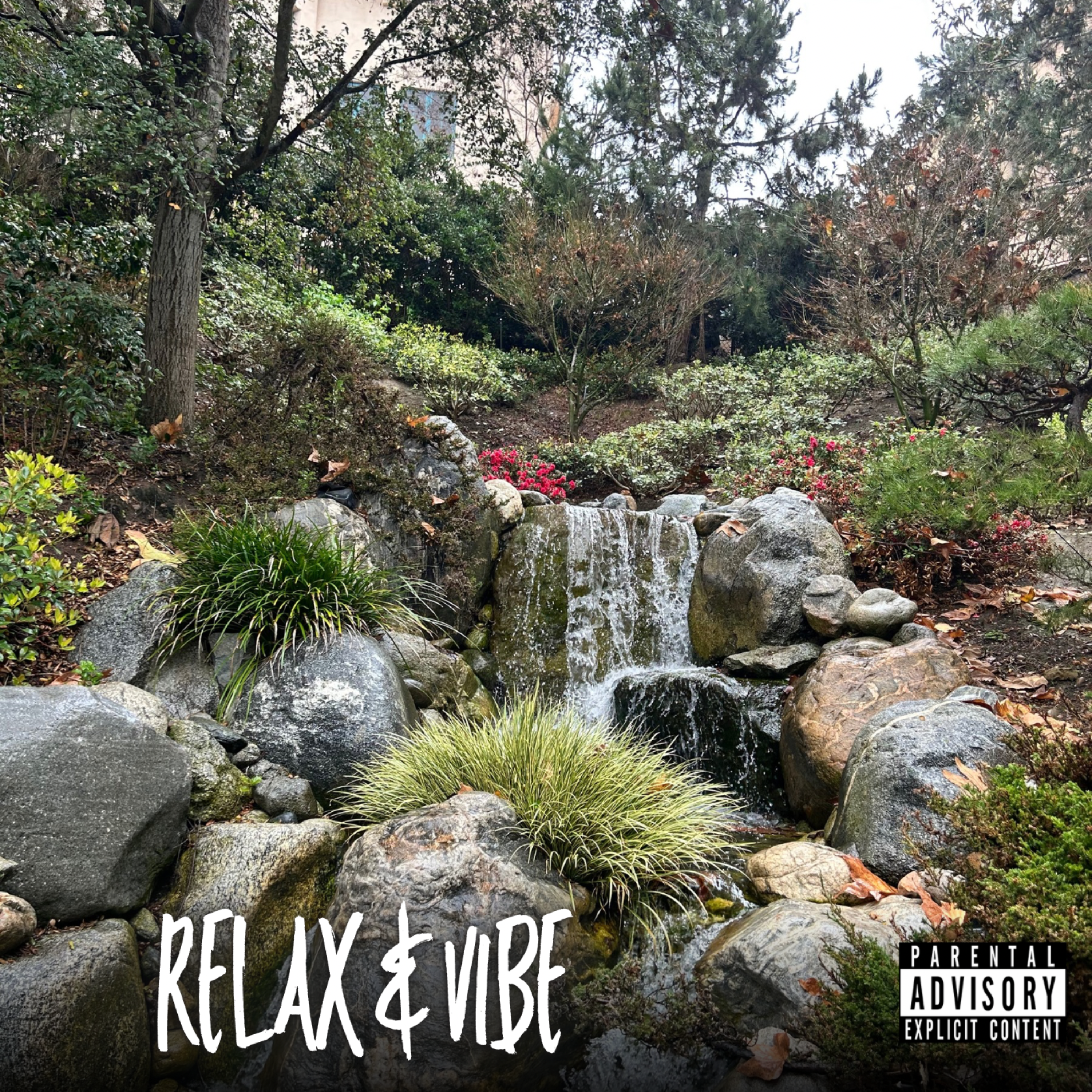 Relax & Vibe artwork