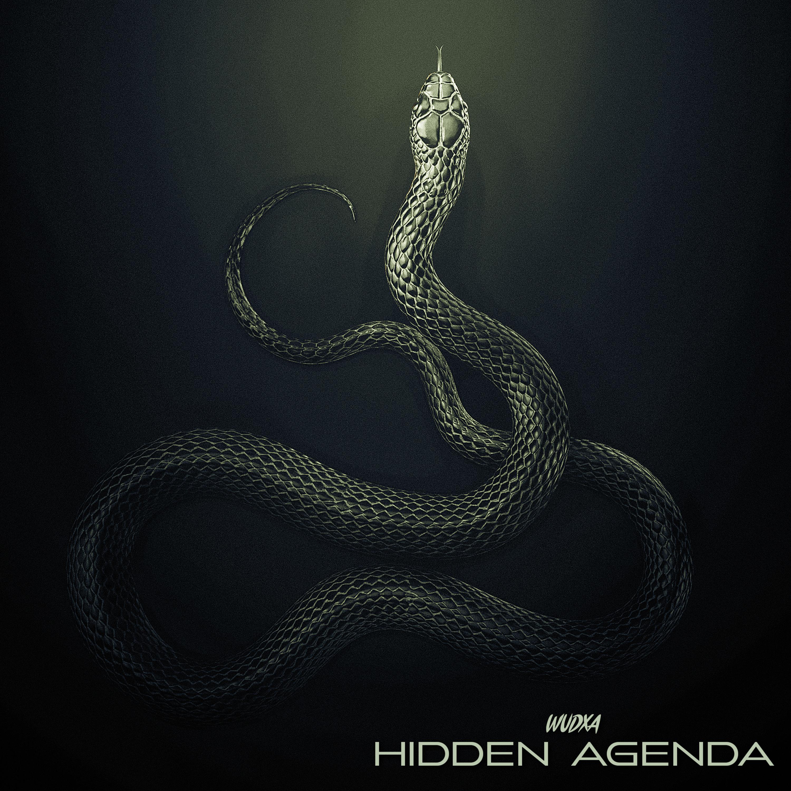 Hidden Agenda artwork
