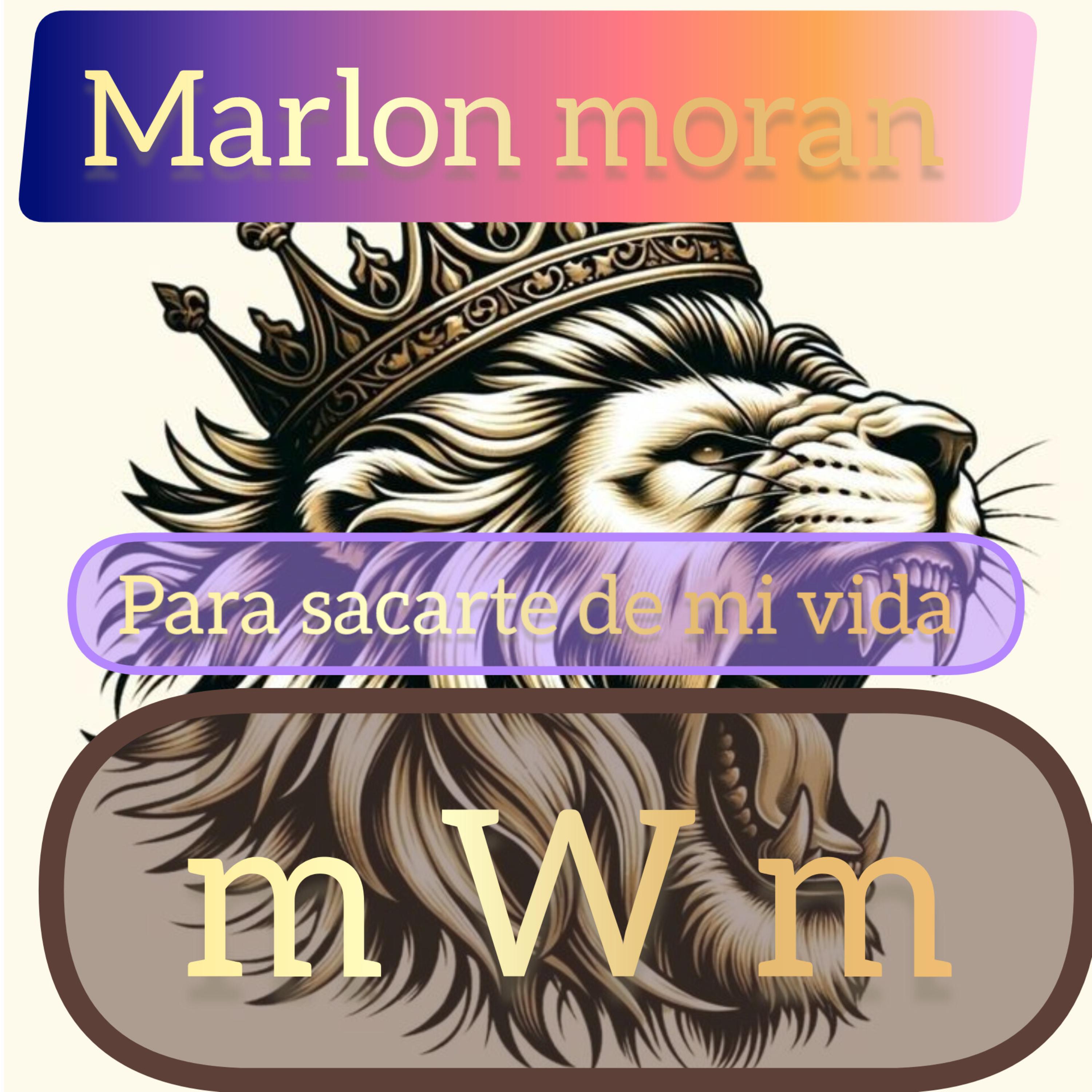 si para sacarte de mi vida artwork