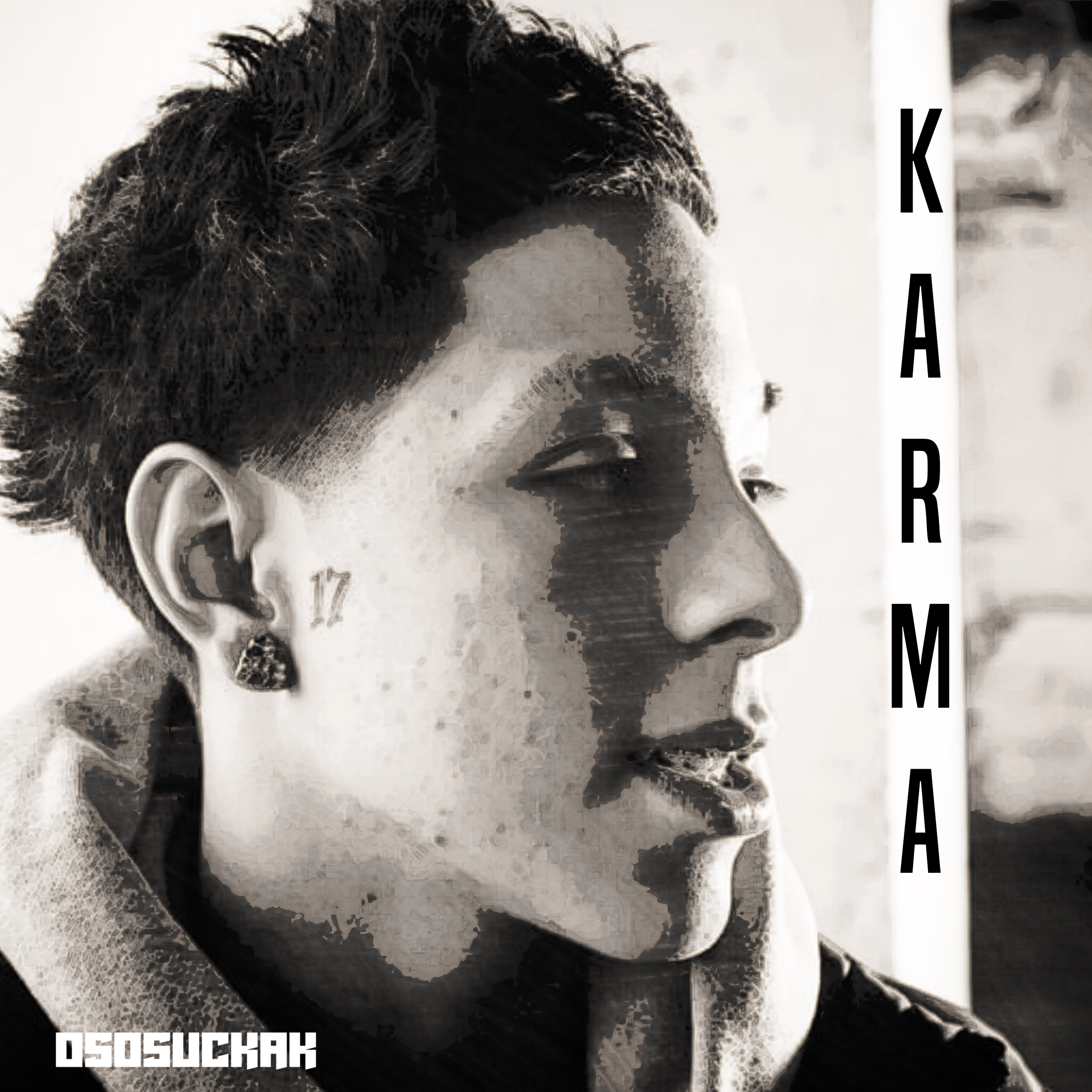 Karma artwork