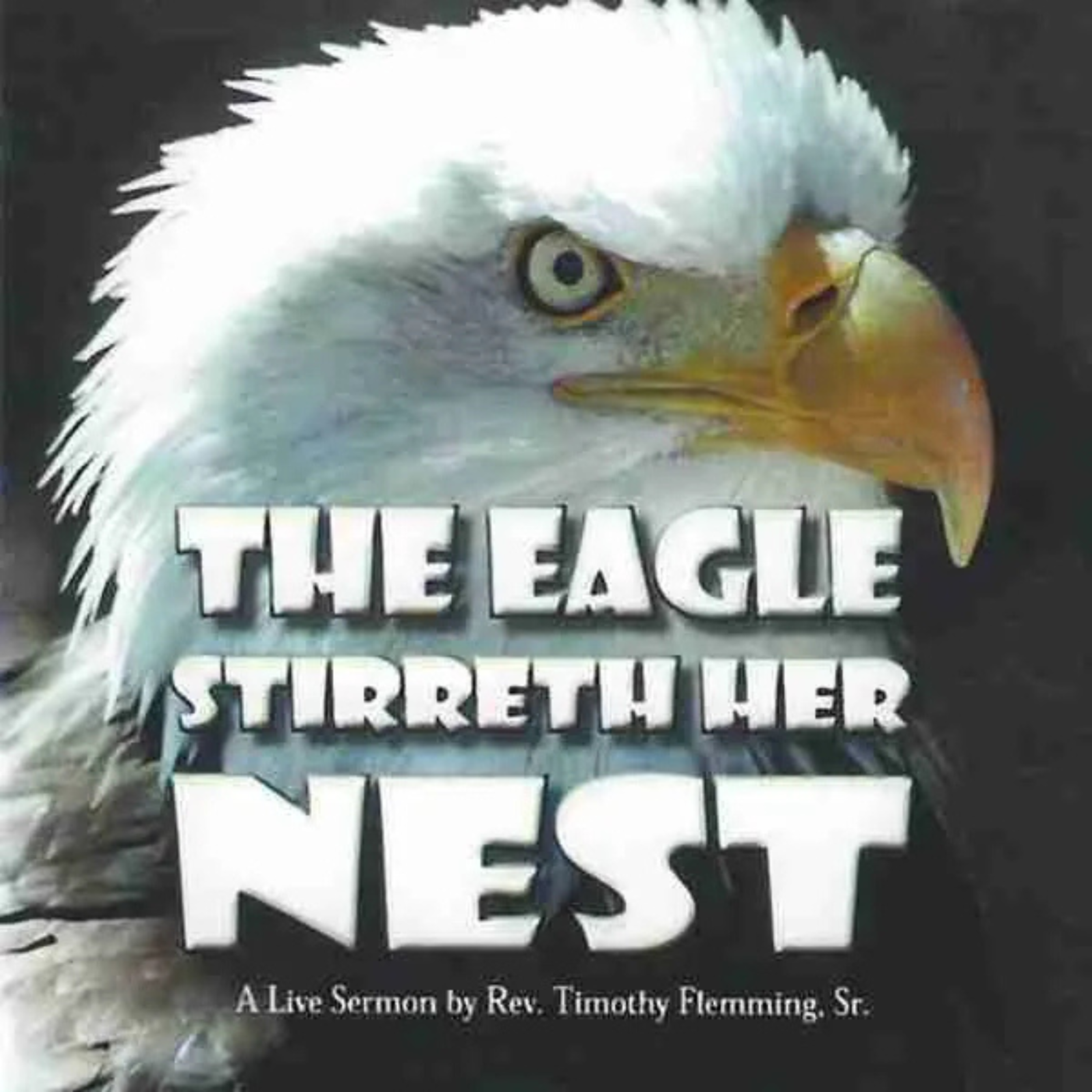 The Eagle Stirreth Her Nest artwork