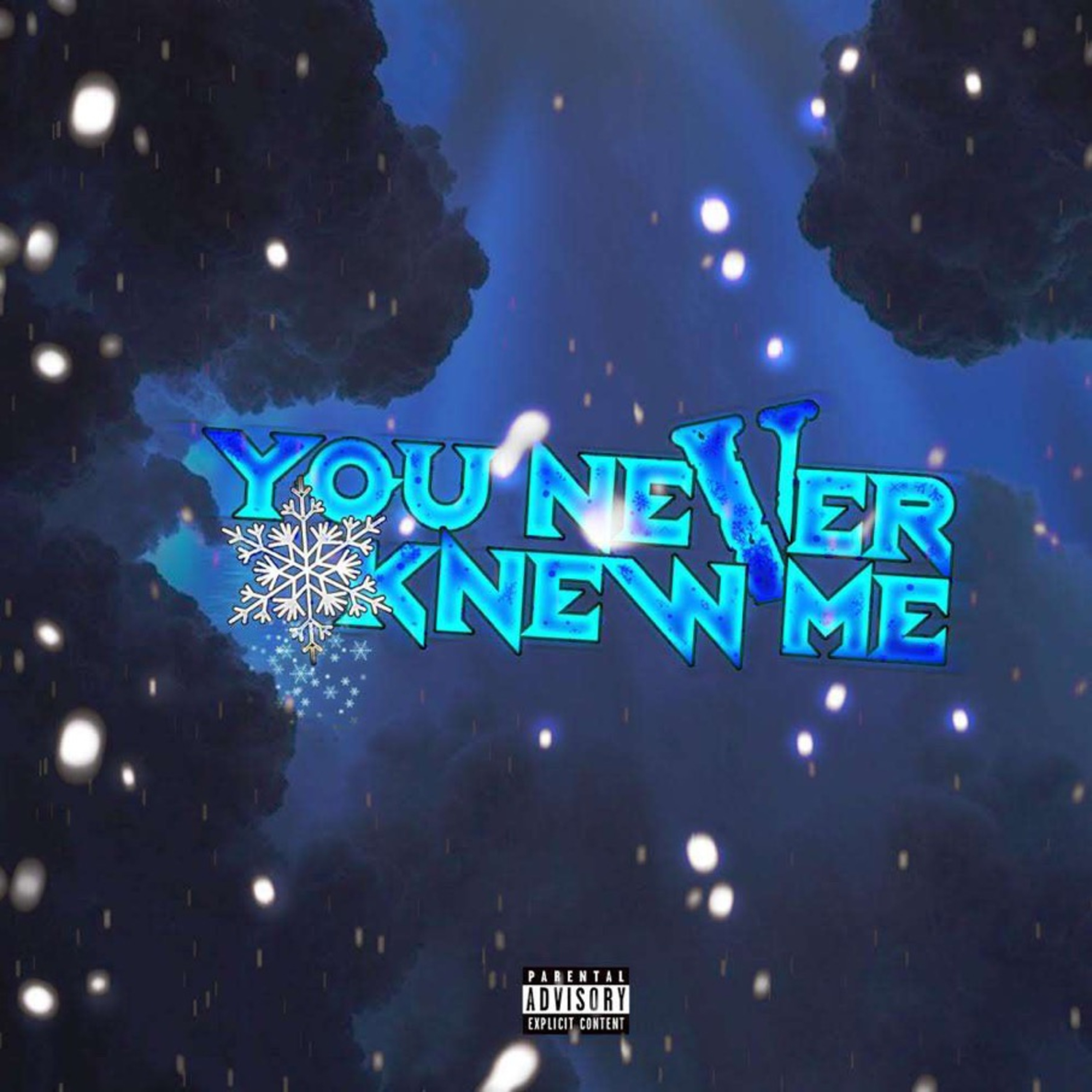 You Never Knew Me artwork
