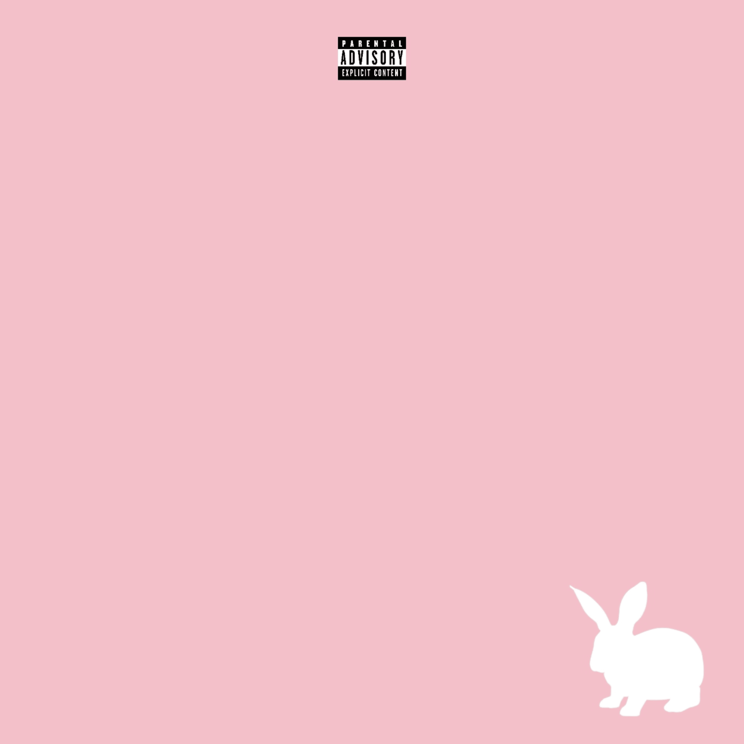 nashville bunny by Nobody$ cover art