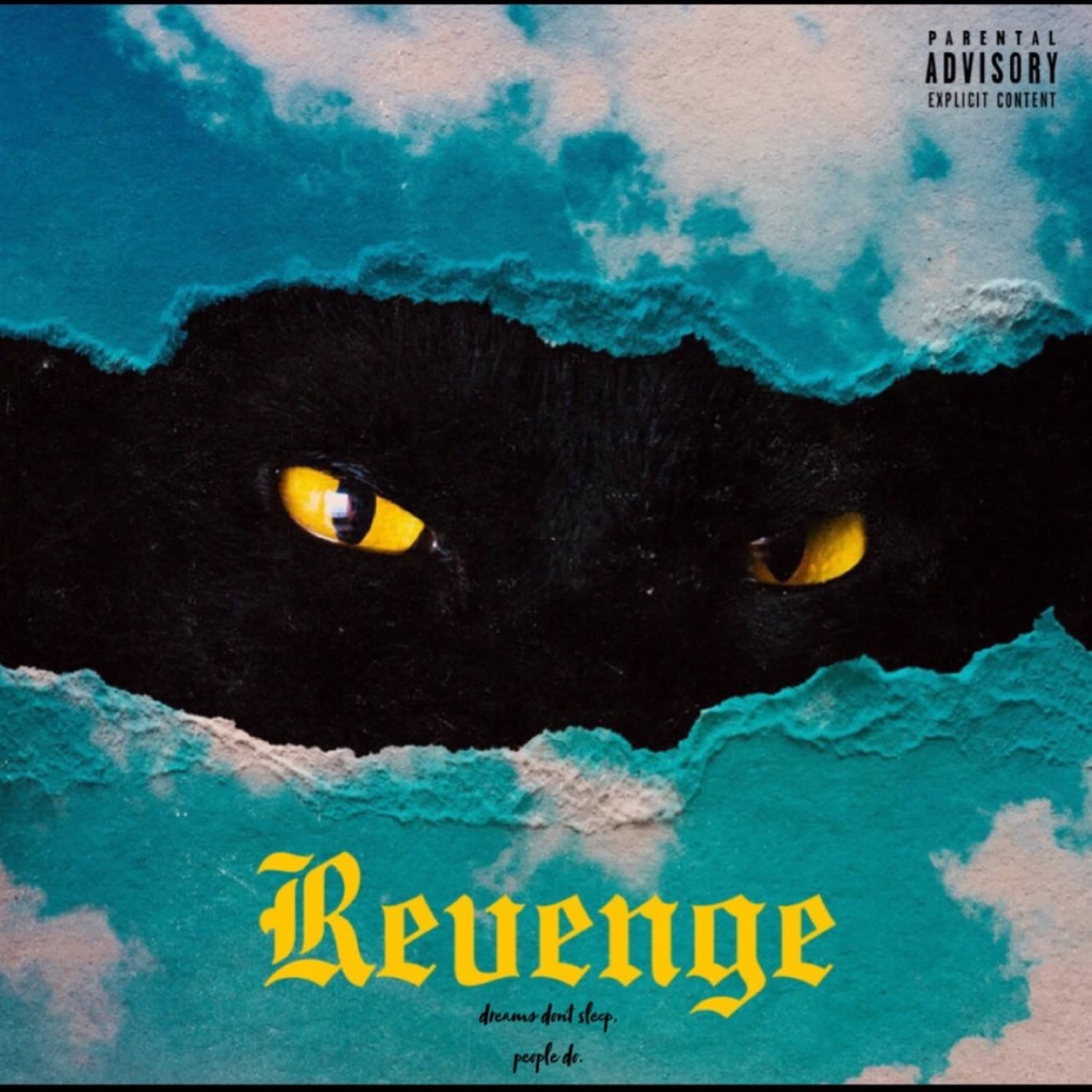 Revenge artwork