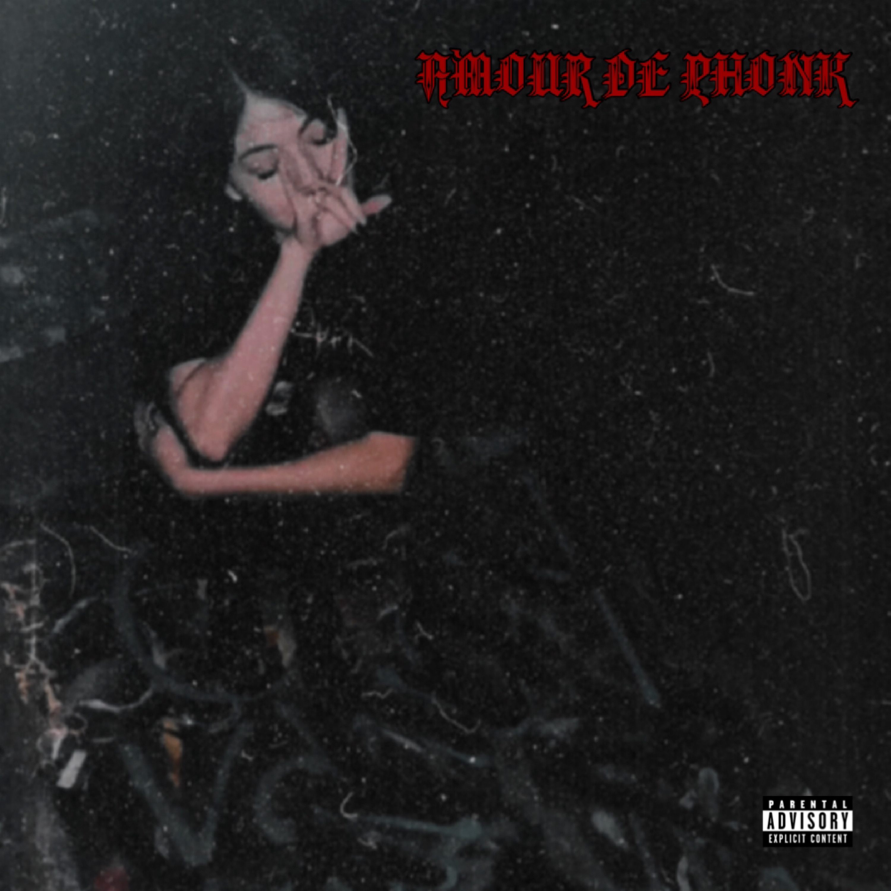 AMOUR DE PHONK artwork