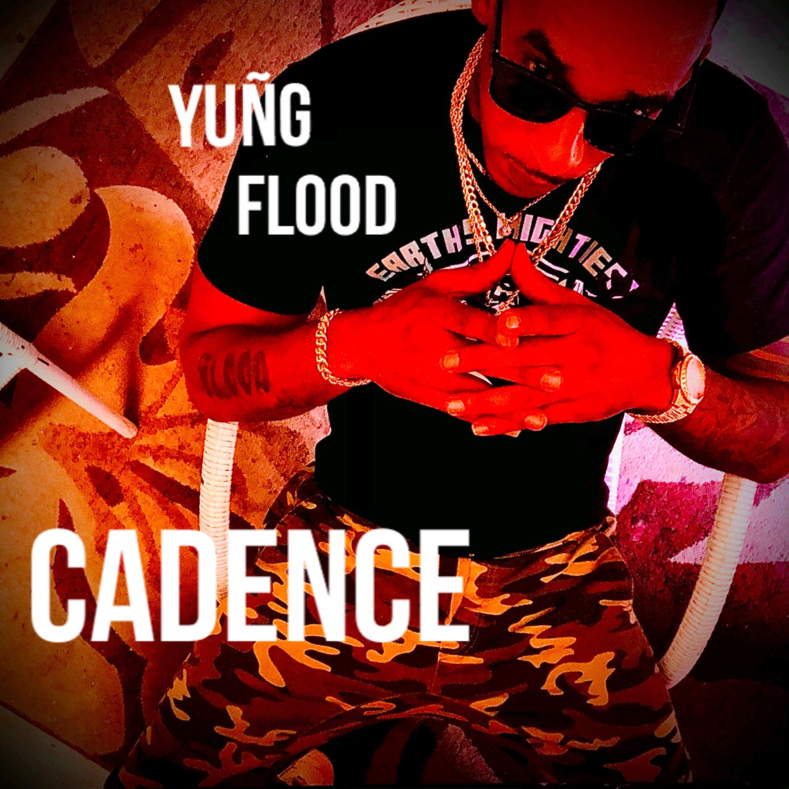 Cadence artwork