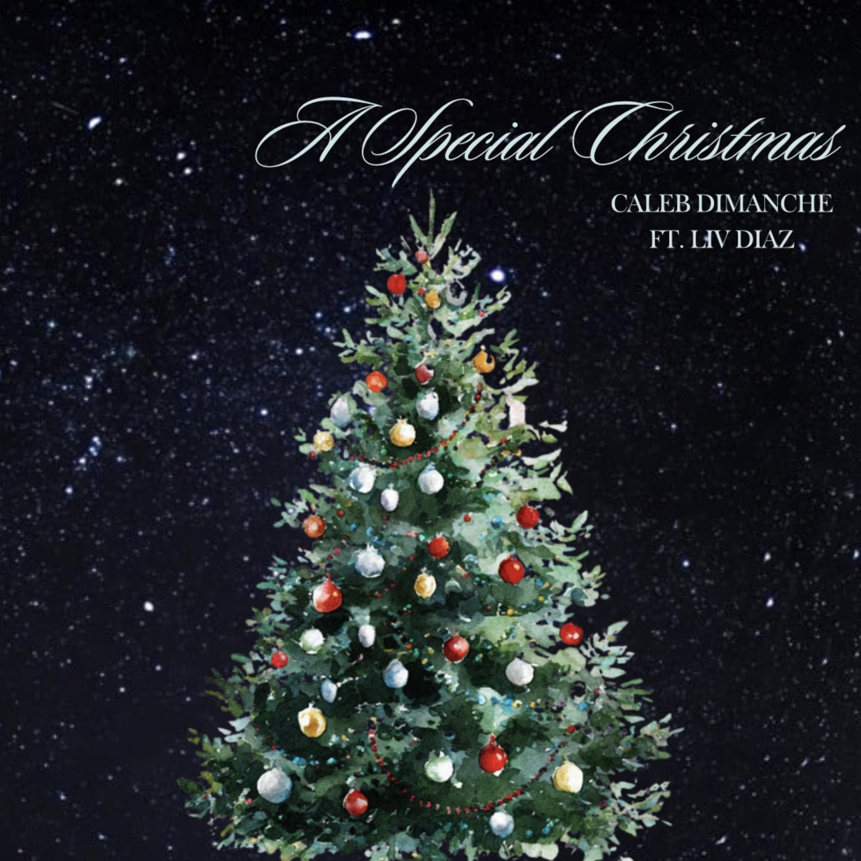 A Special Christmas artwork