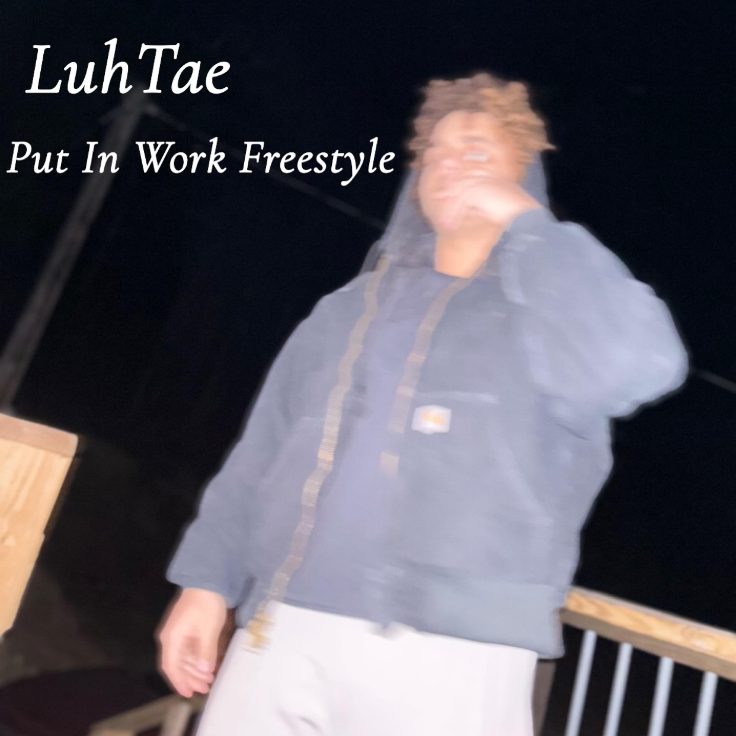 Put In Work Freestyle artwork