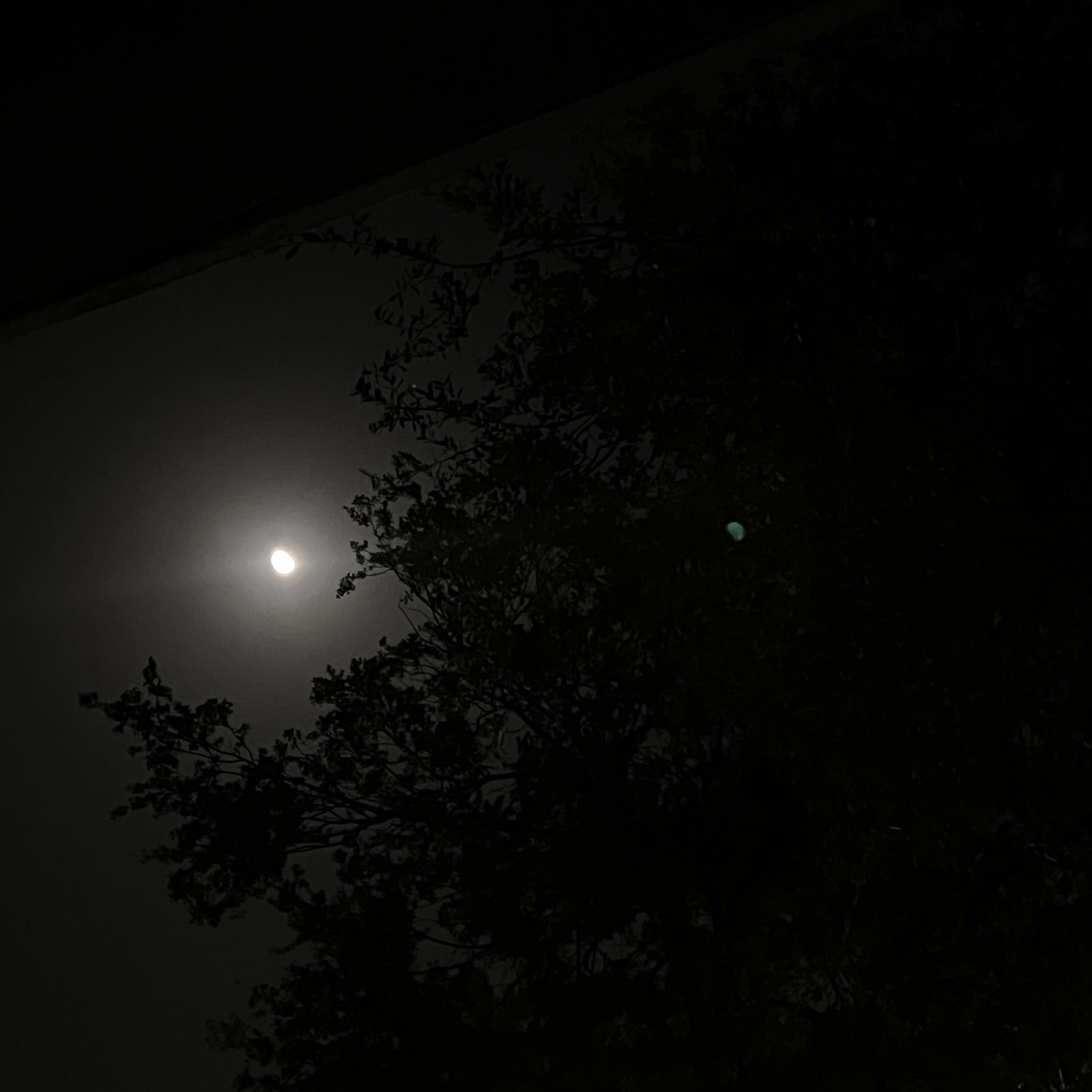 Talk No Jutsu artwork