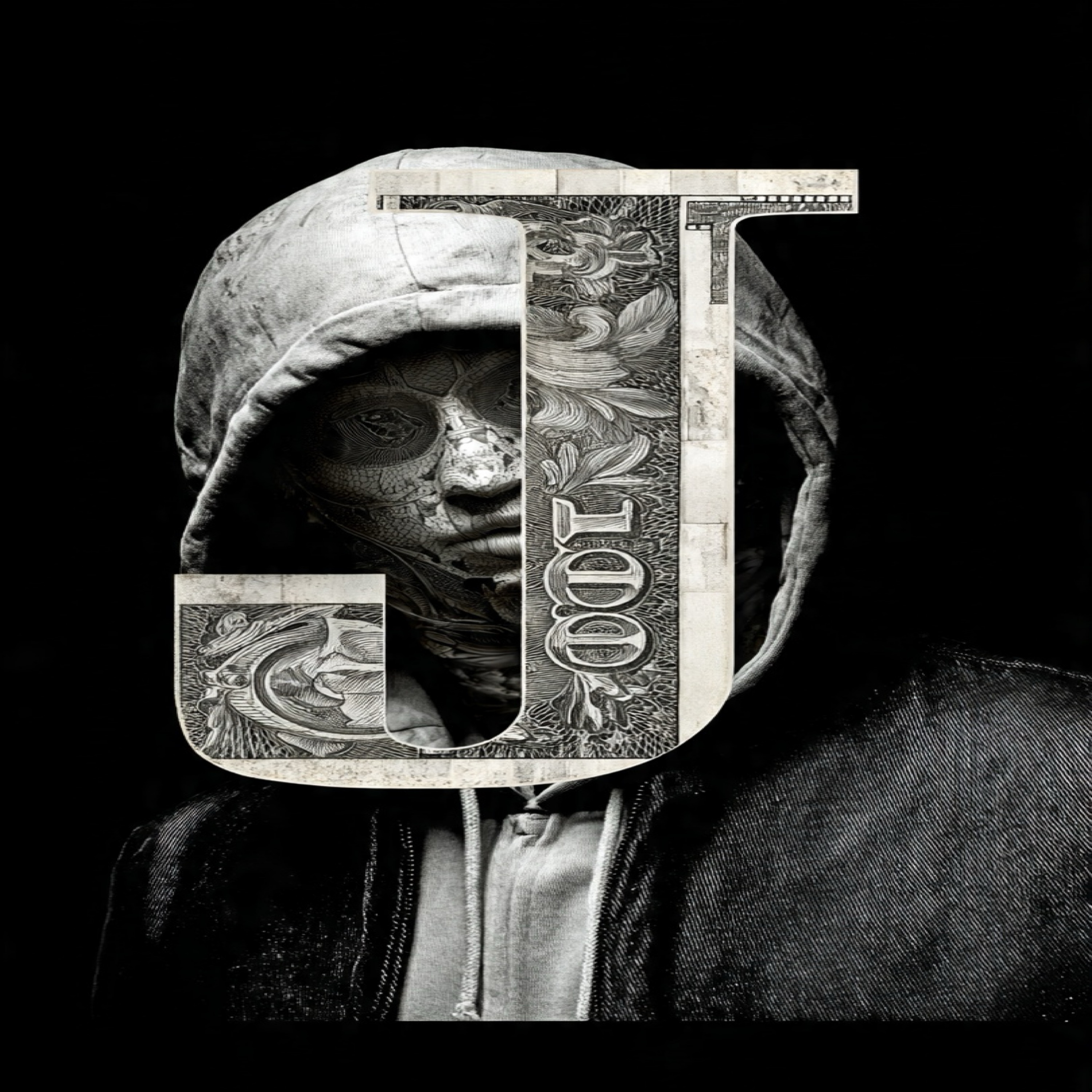 C$sh-in Moda PT2 artwork
