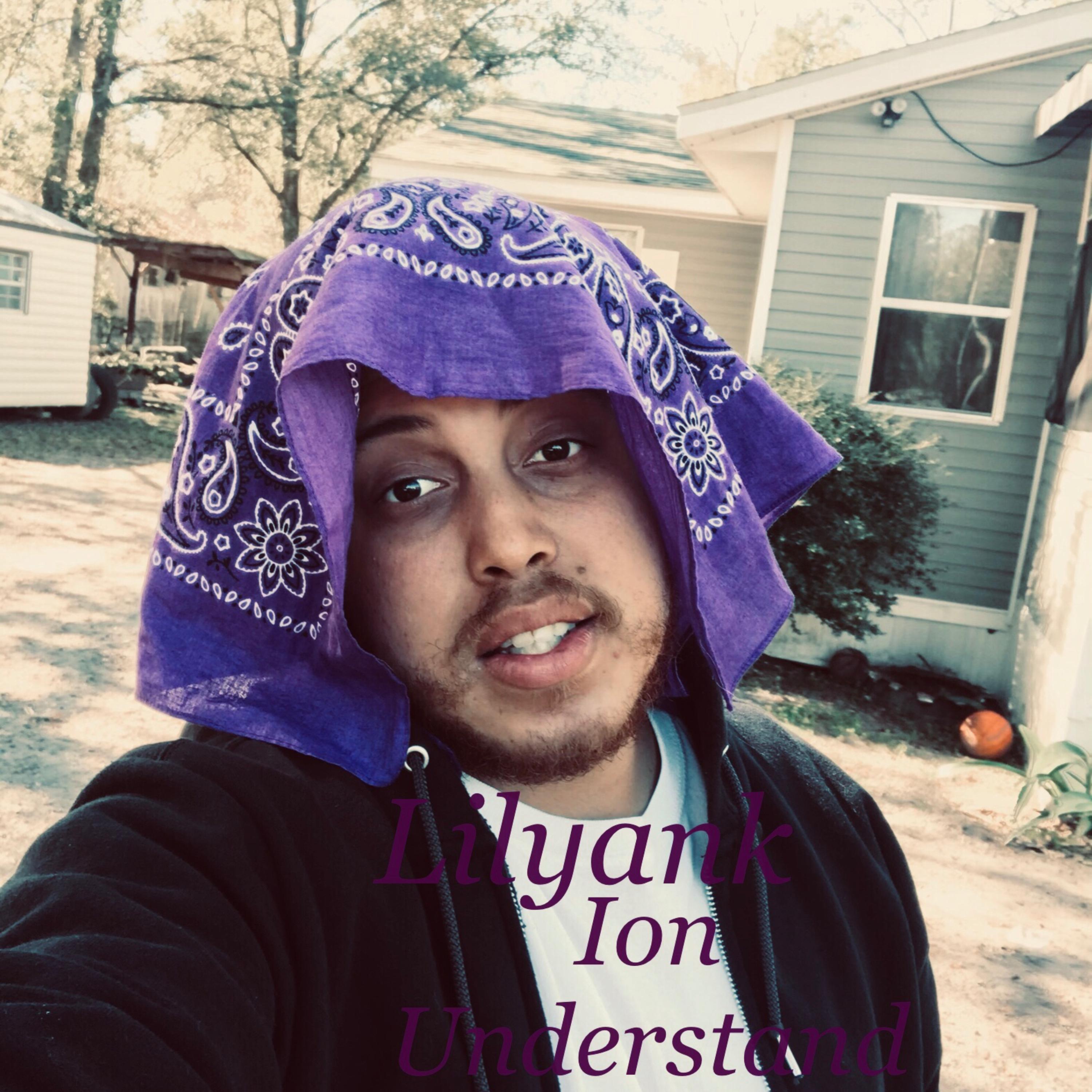 Ion Understand artwork