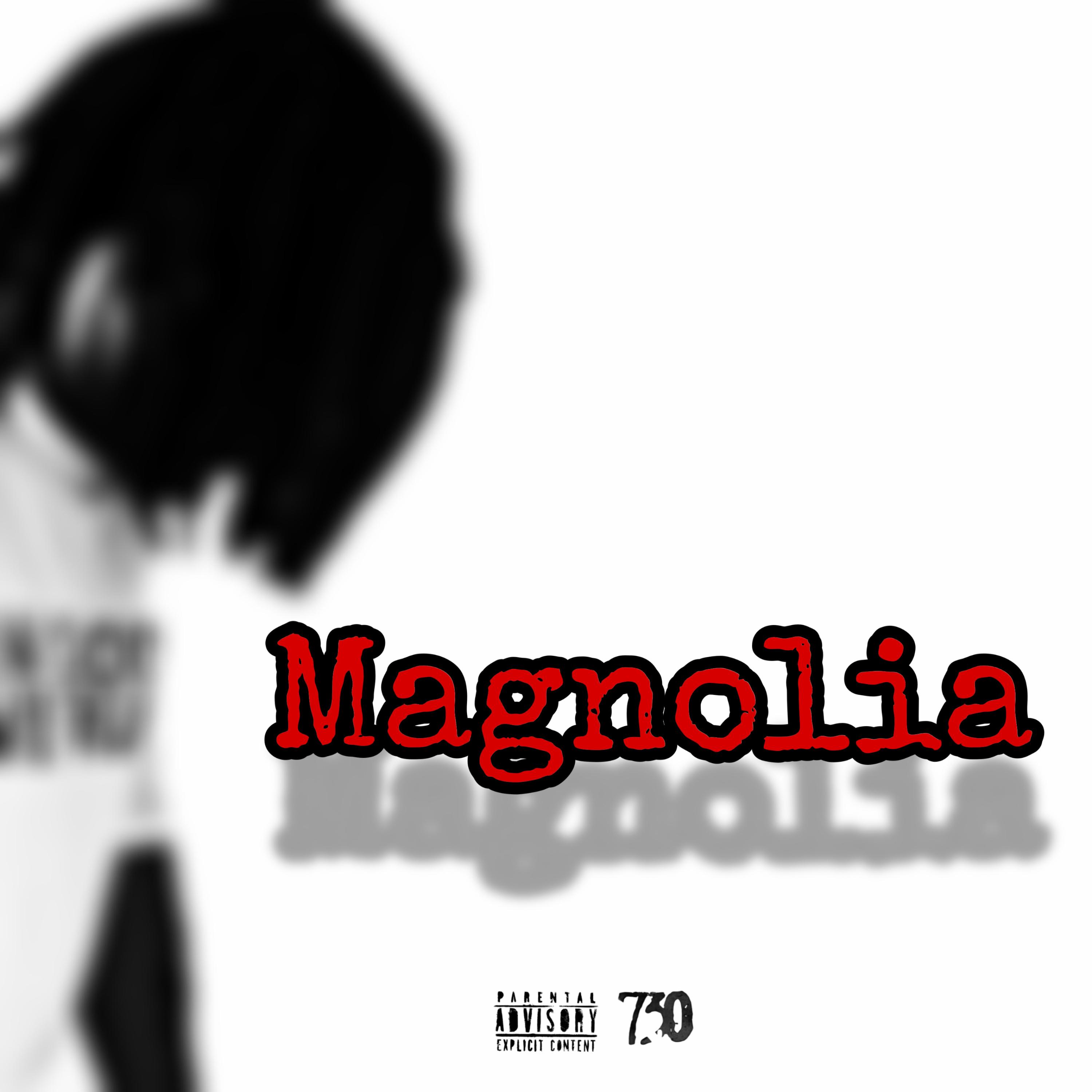 Magnolia artwork