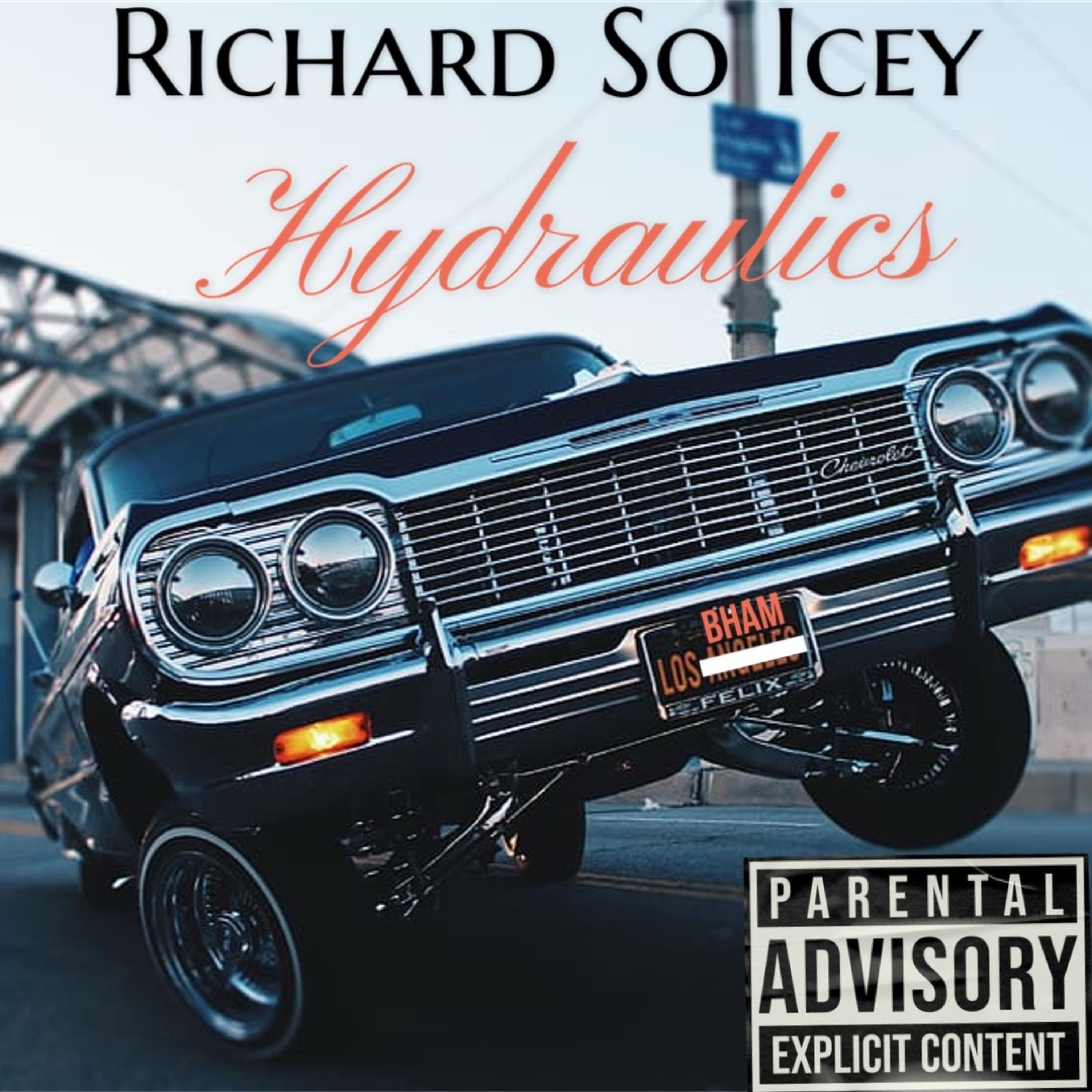 Hydraulics (Dog Shit) artwork