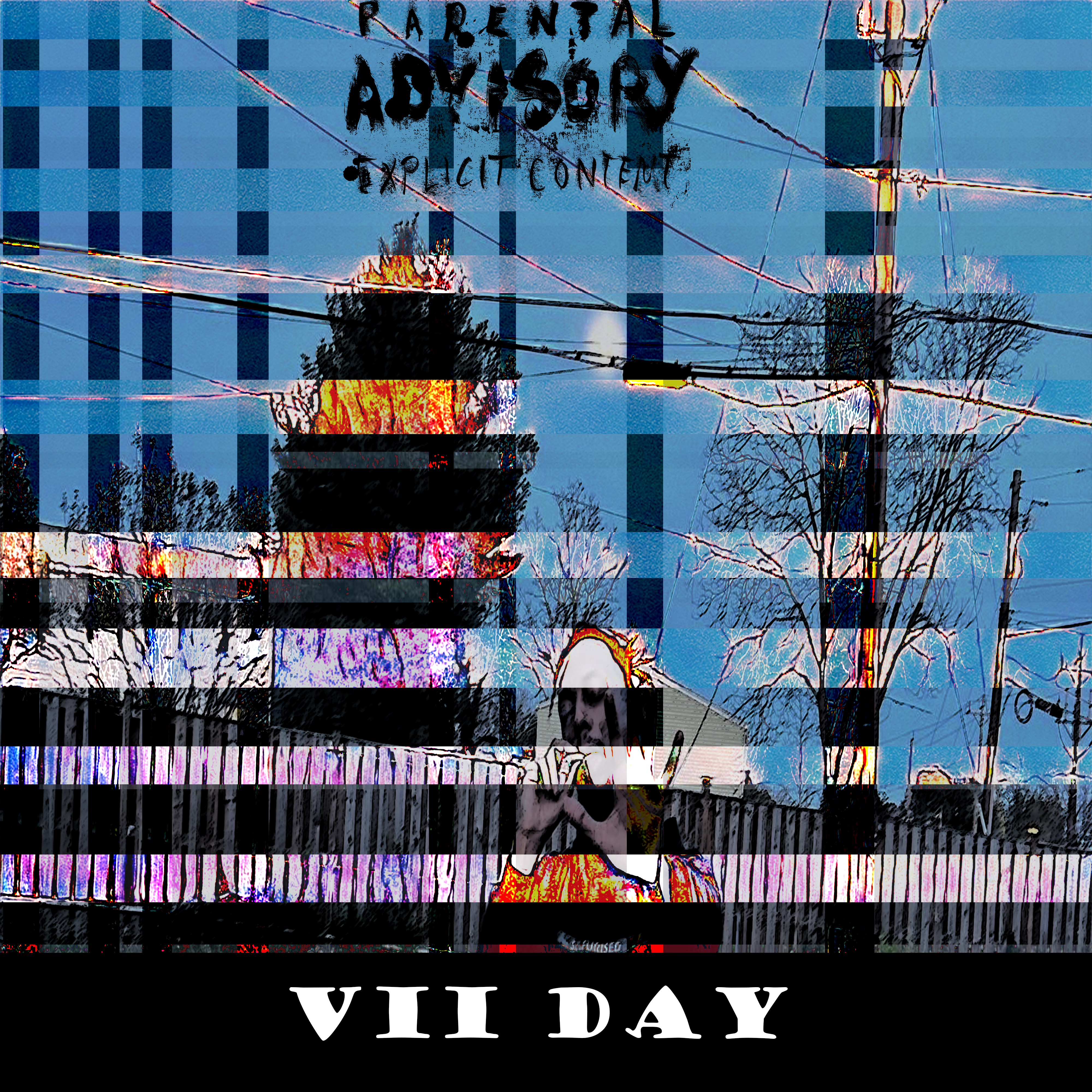 ViiDay artwork
