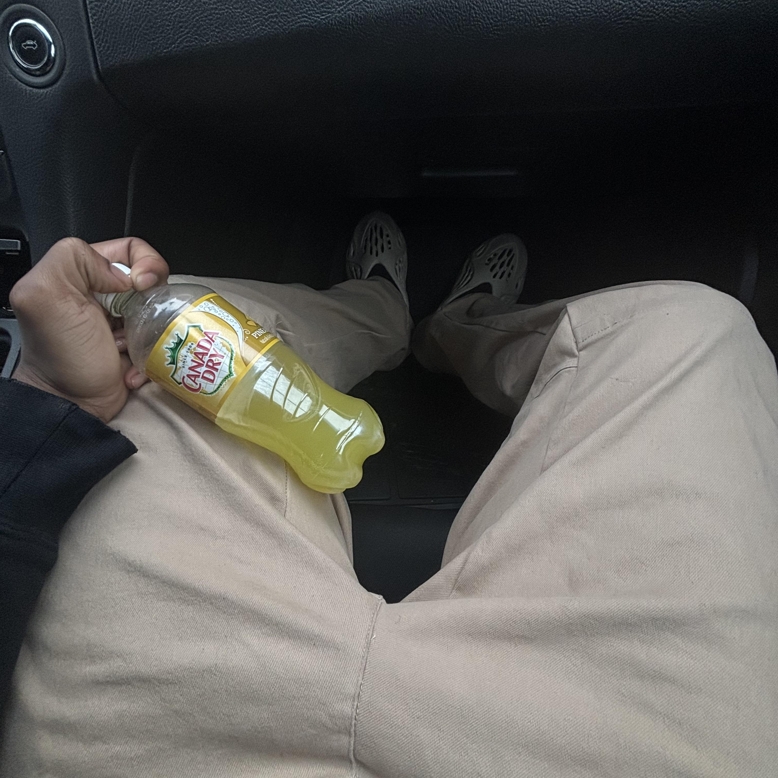 Friendly A$$ H0e + ( $AUCE ) artwork