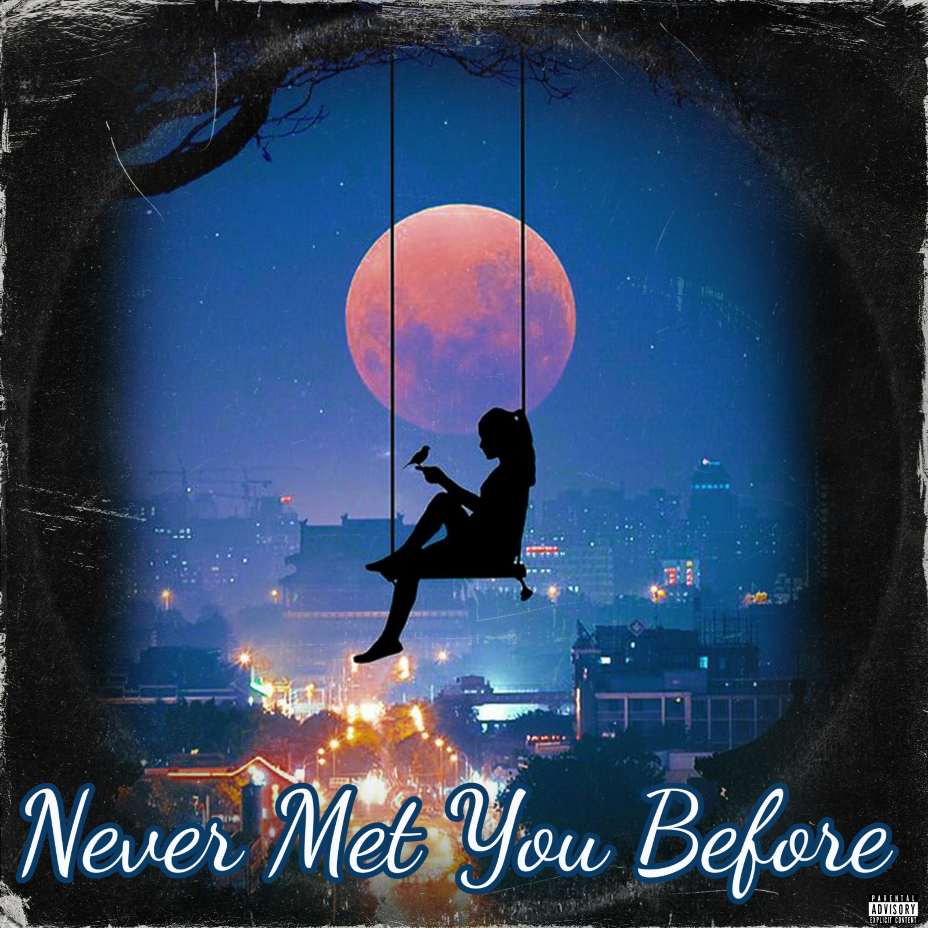 Never Met You Before artwork
