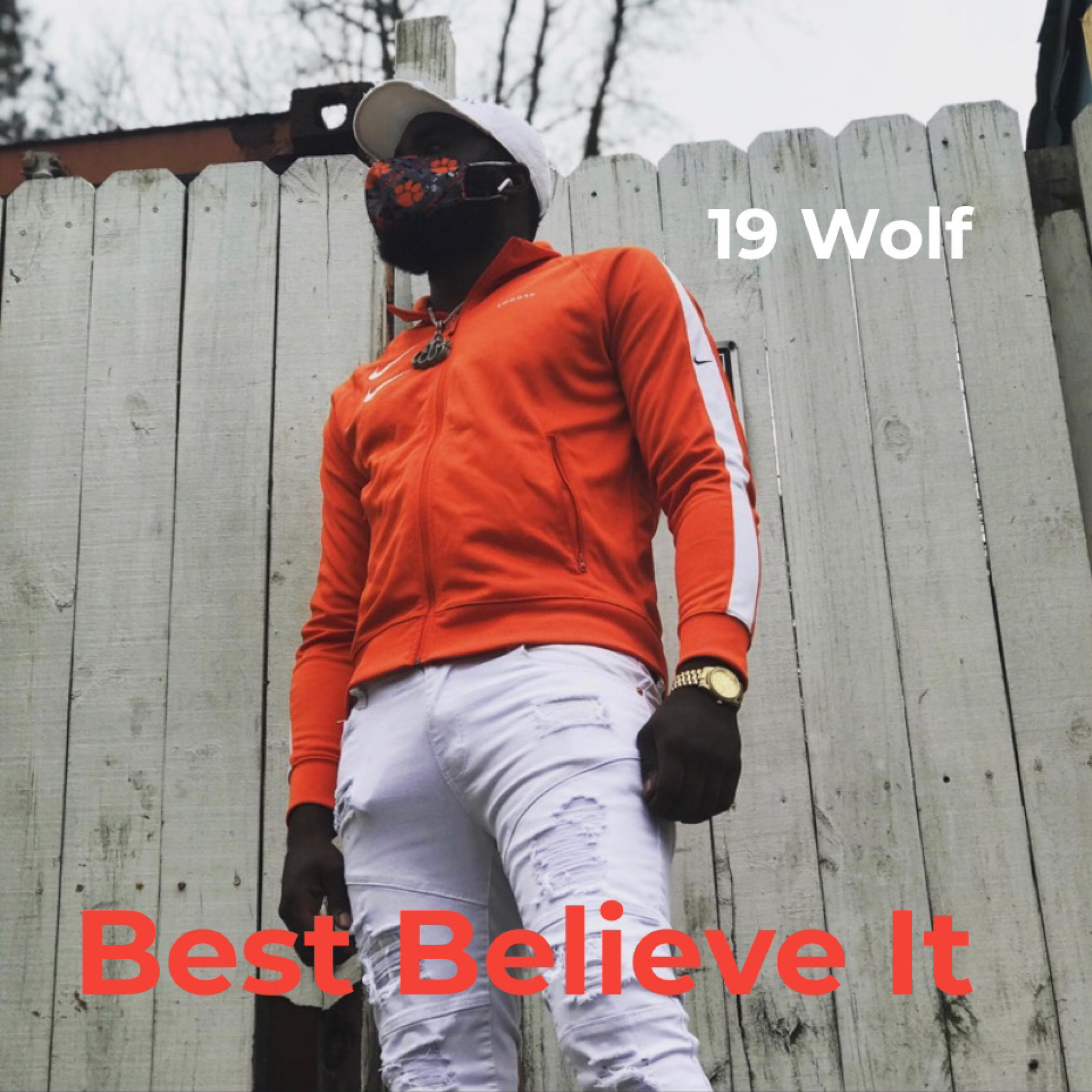 Best Believe it by 19 Wolf cover art