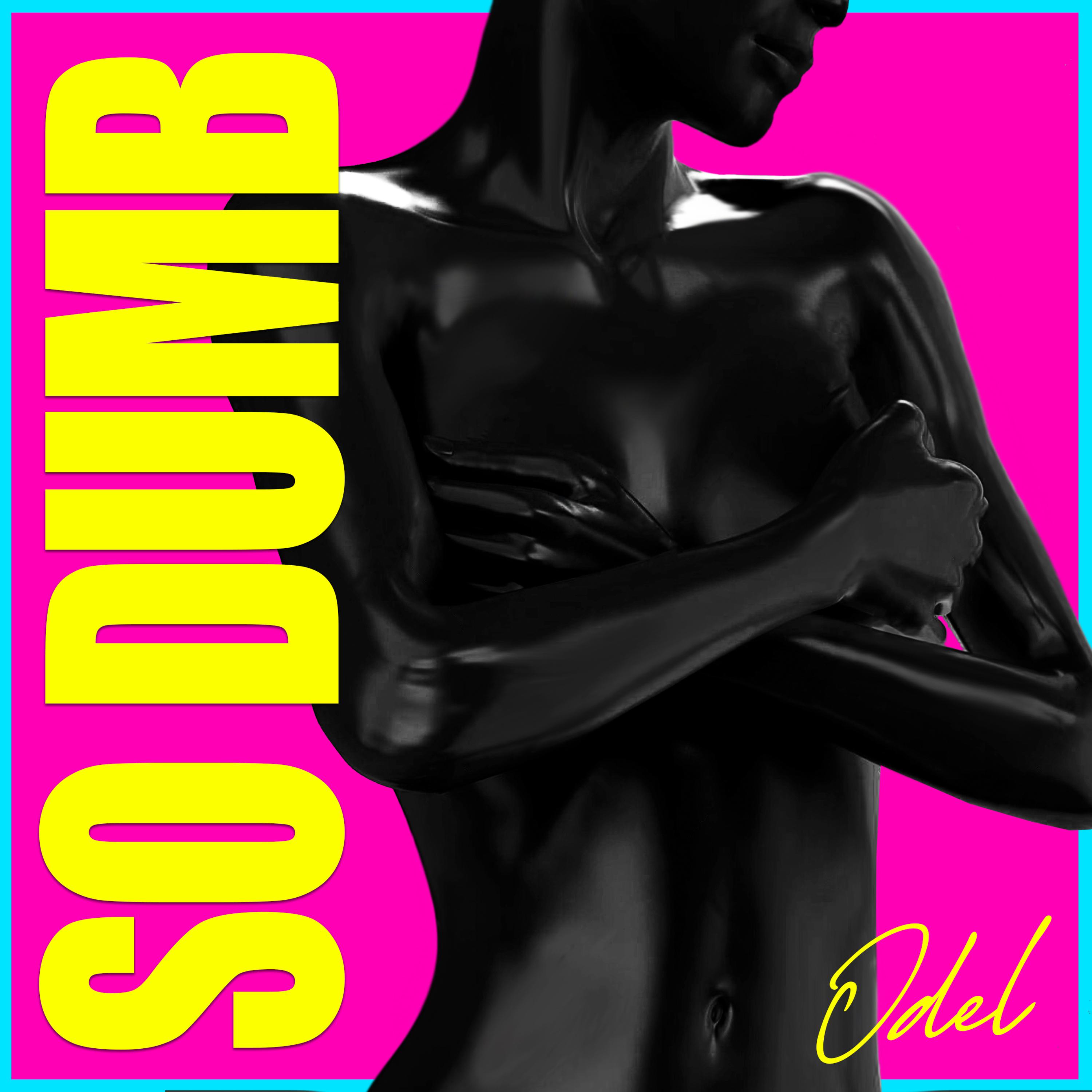 SO DUMB artwork
