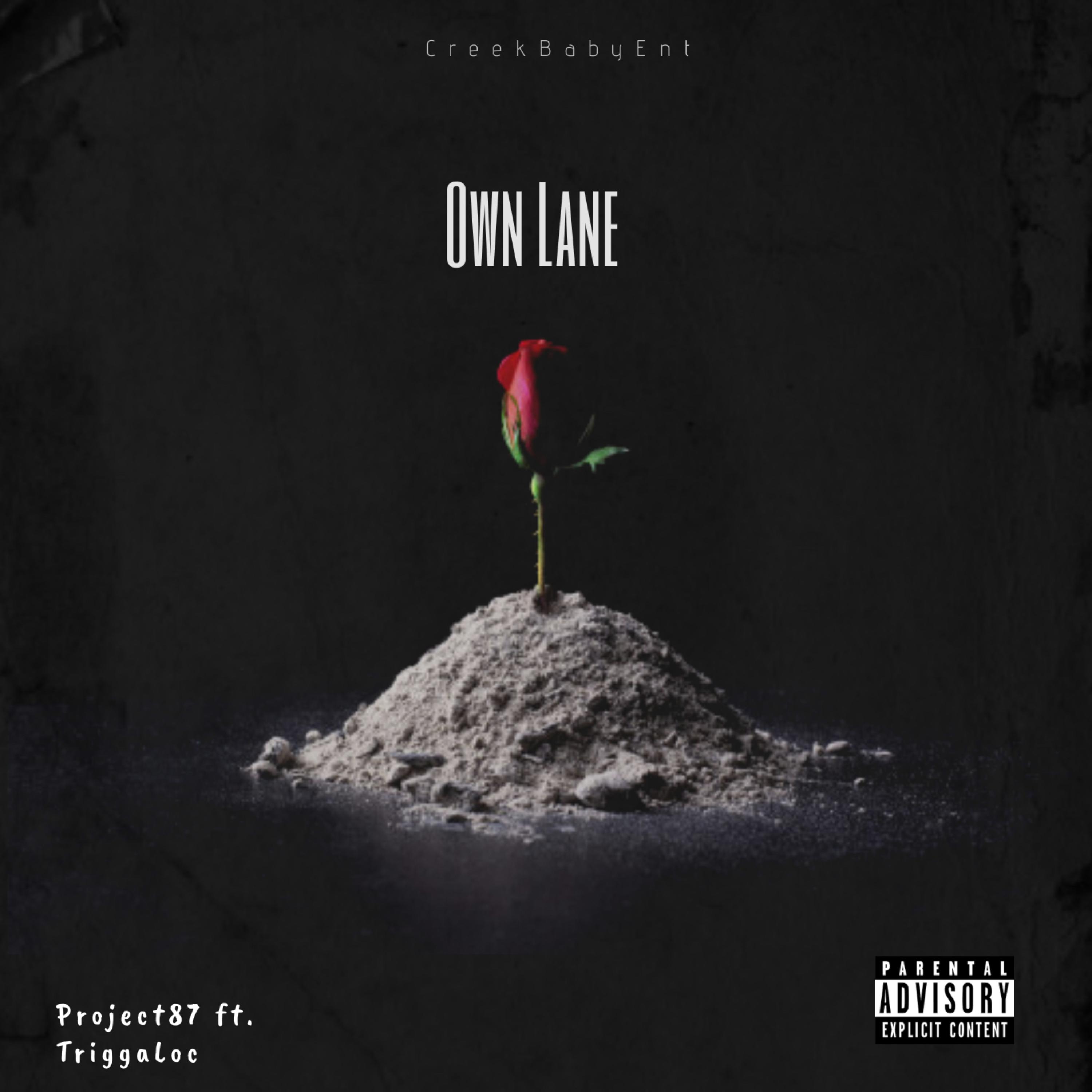 Own Lane artwork