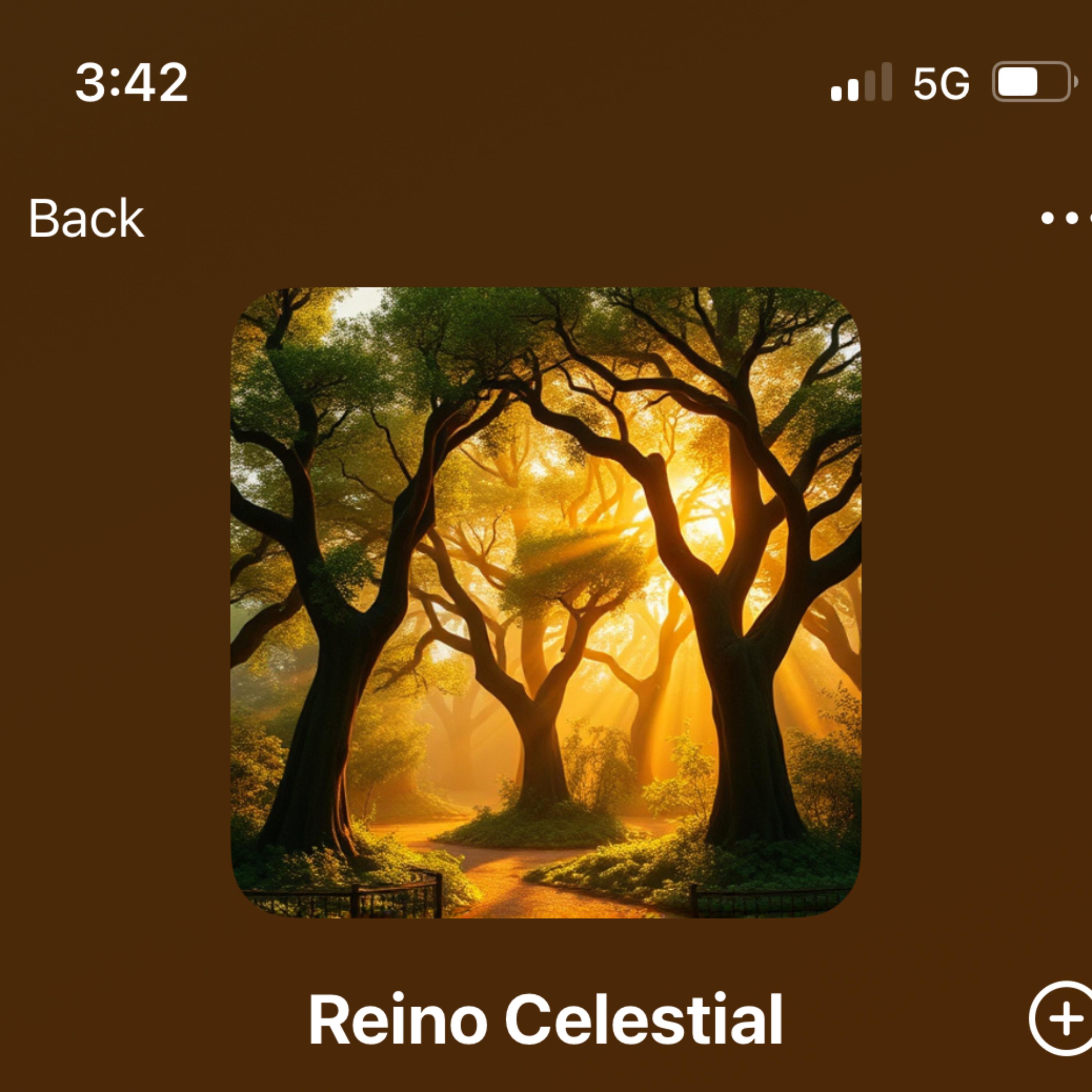 Reino Celestial artwork