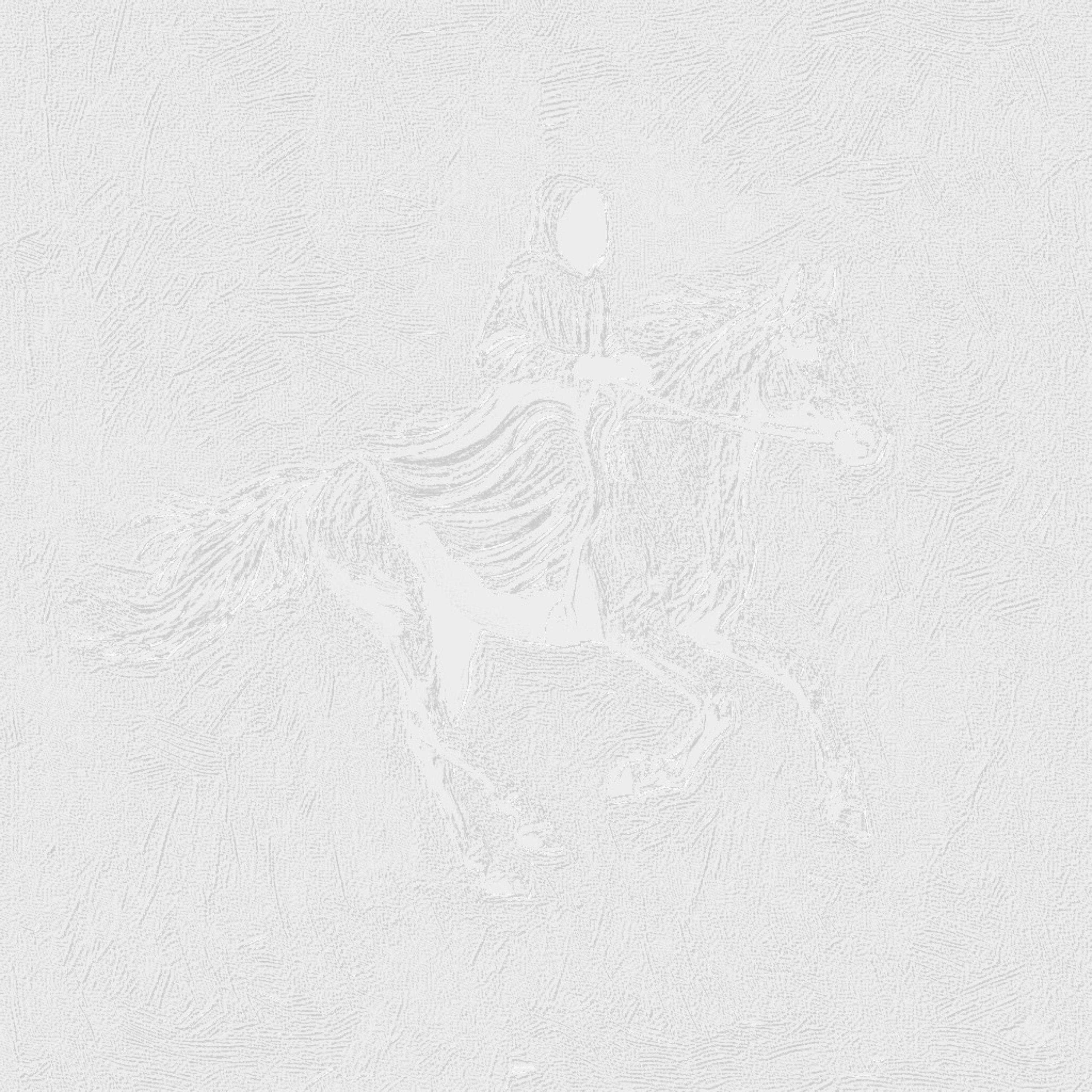 ONE Chance artwork