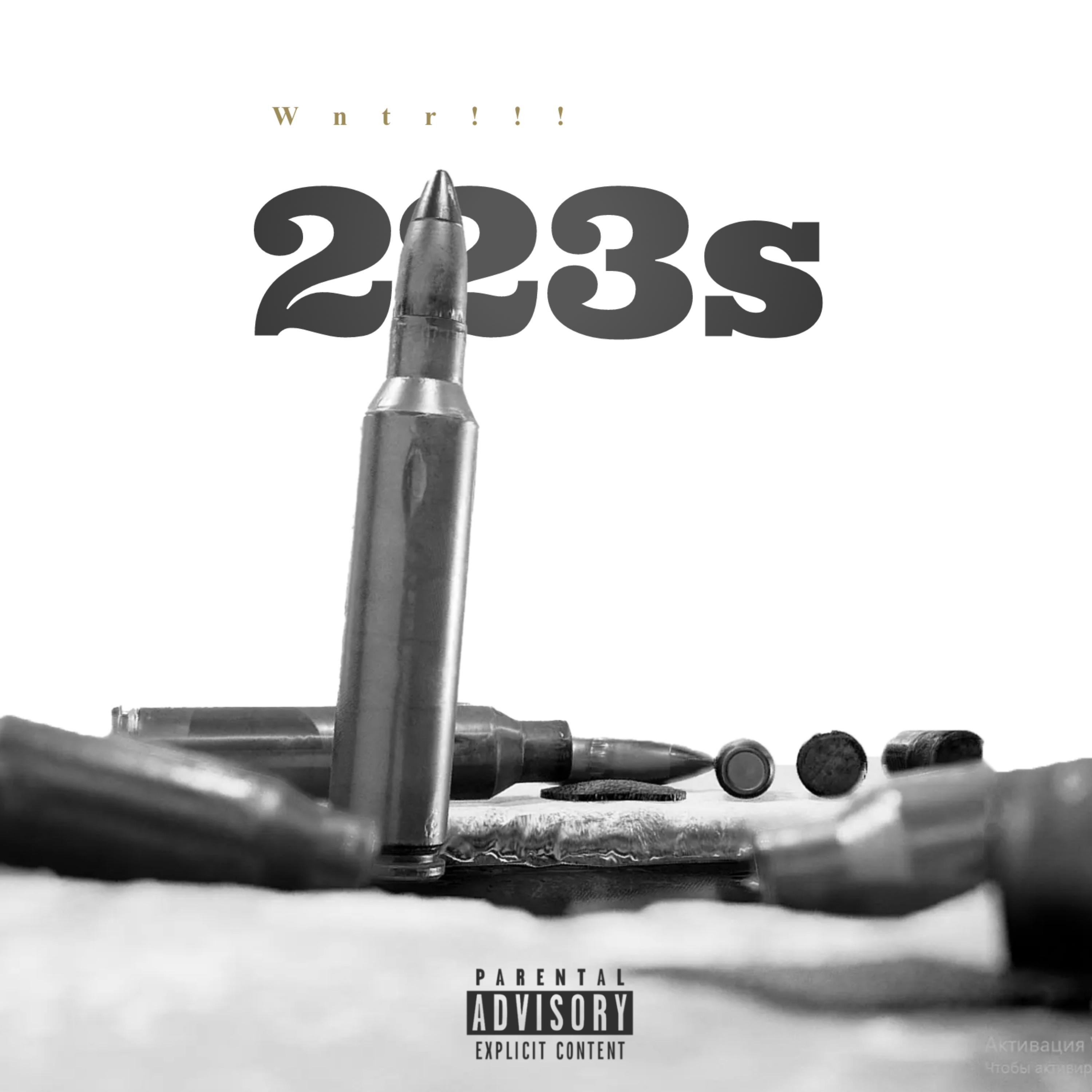223s by Wntr!!! cover art