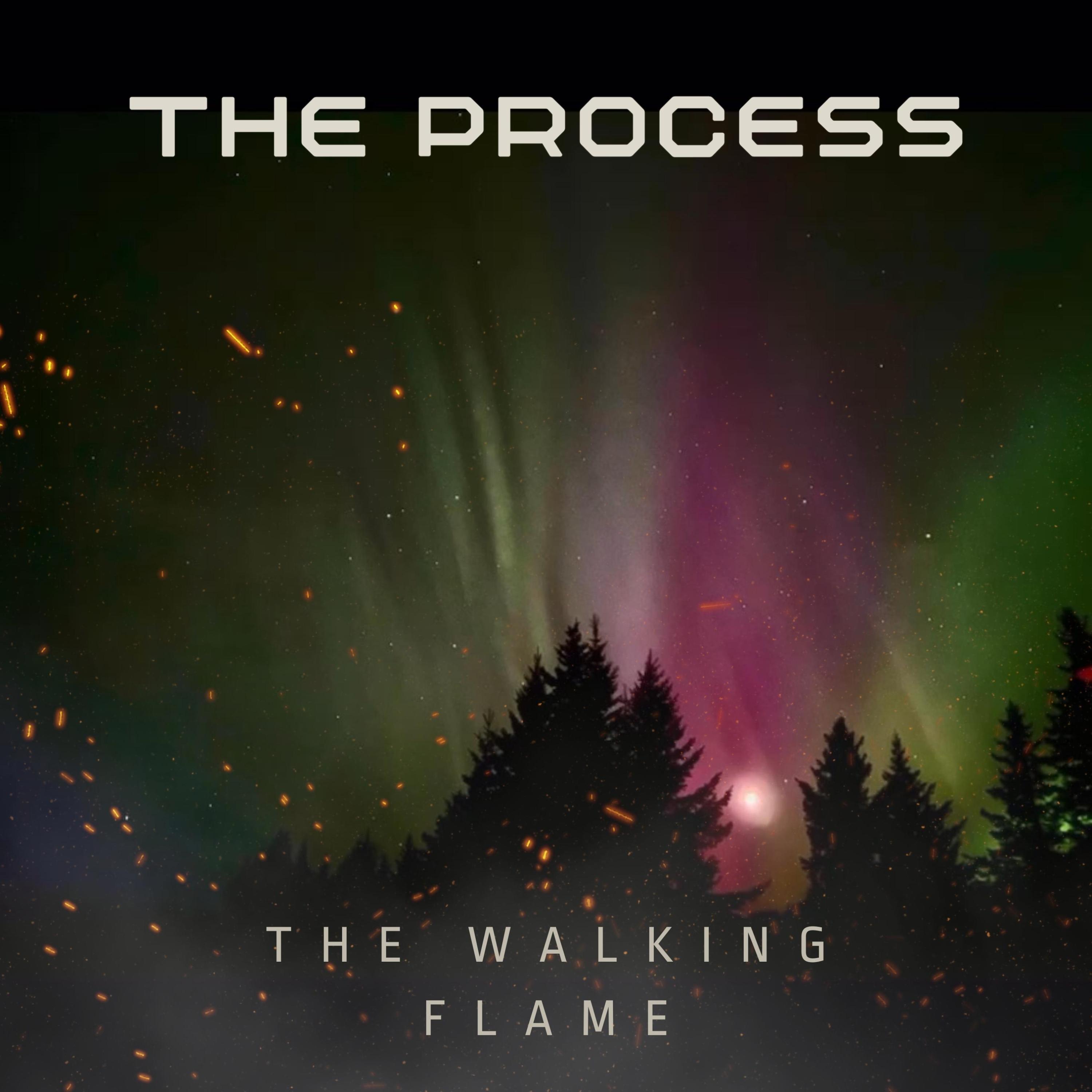 The Process artwork