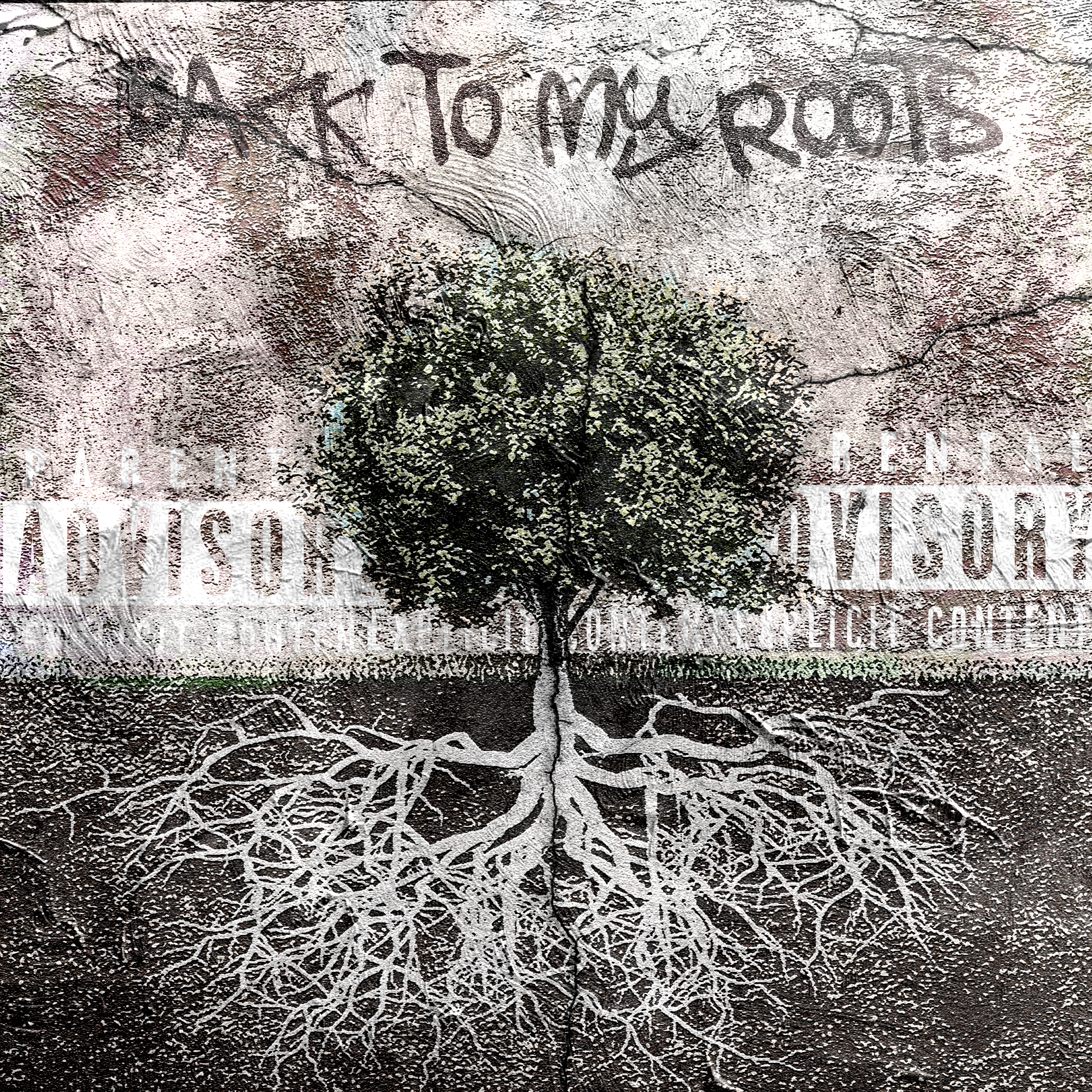 BACK TO MY ROOTS artwork