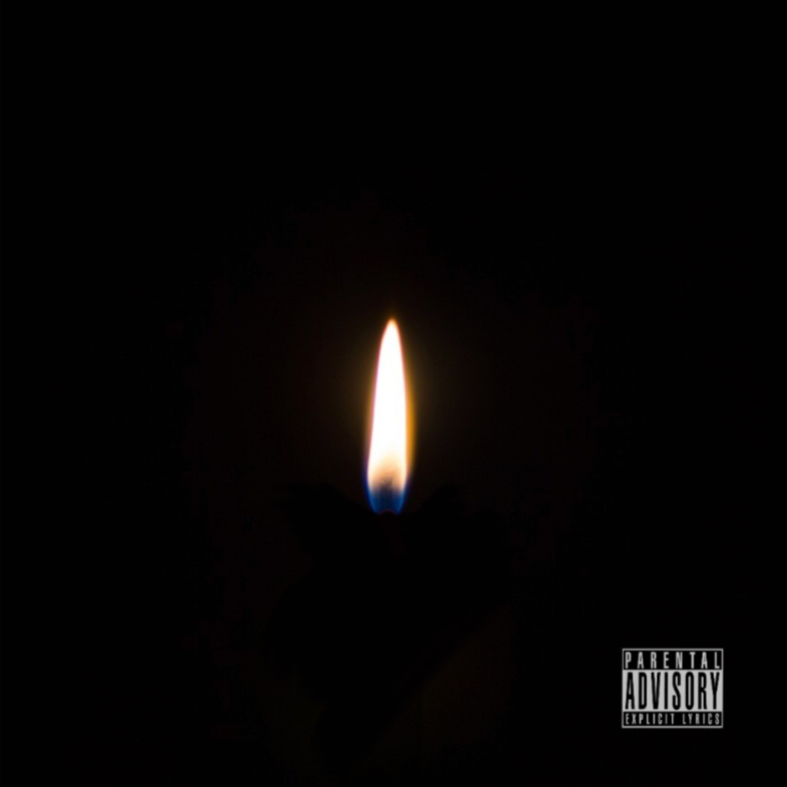 THE LIGHT artwork