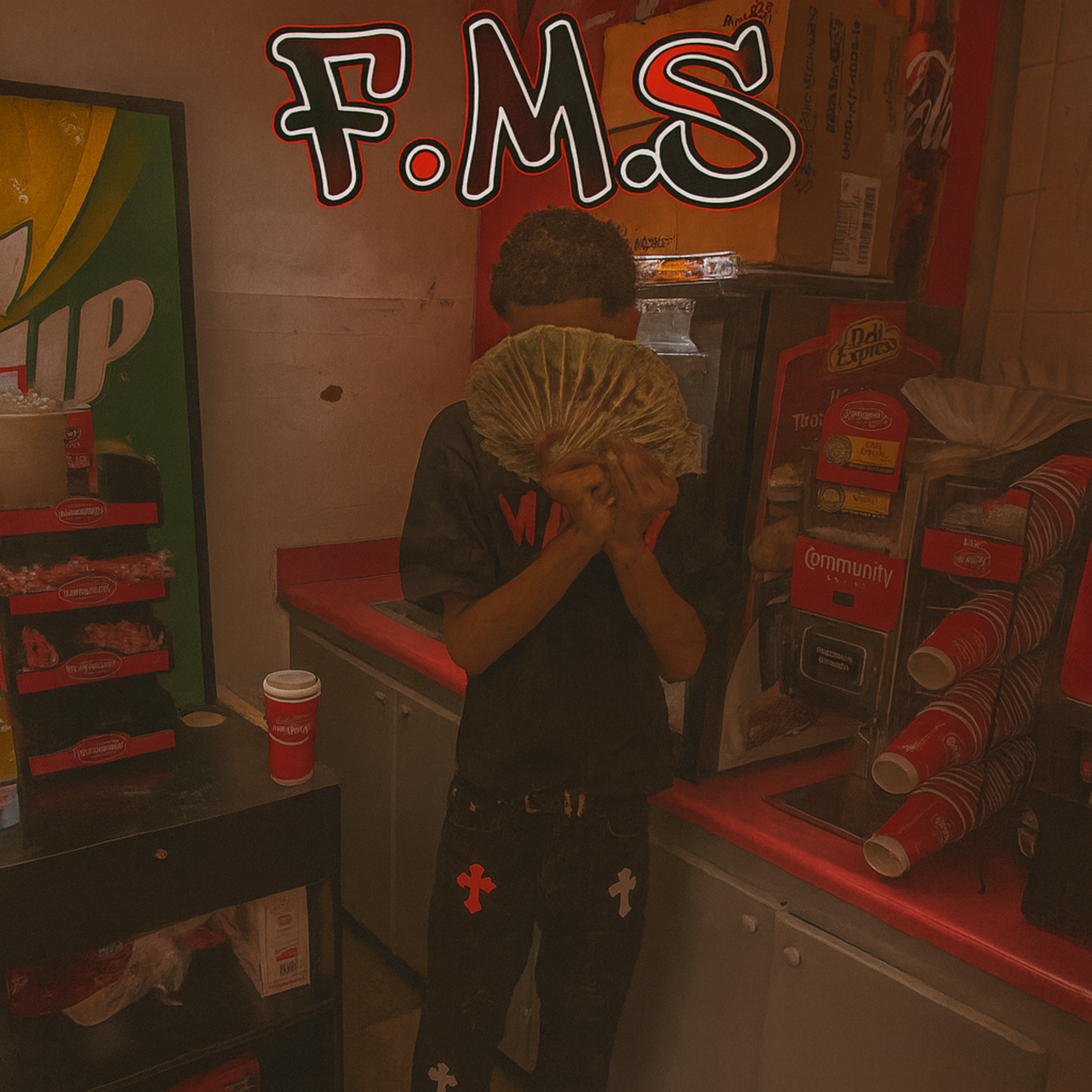 F.M.S artwork