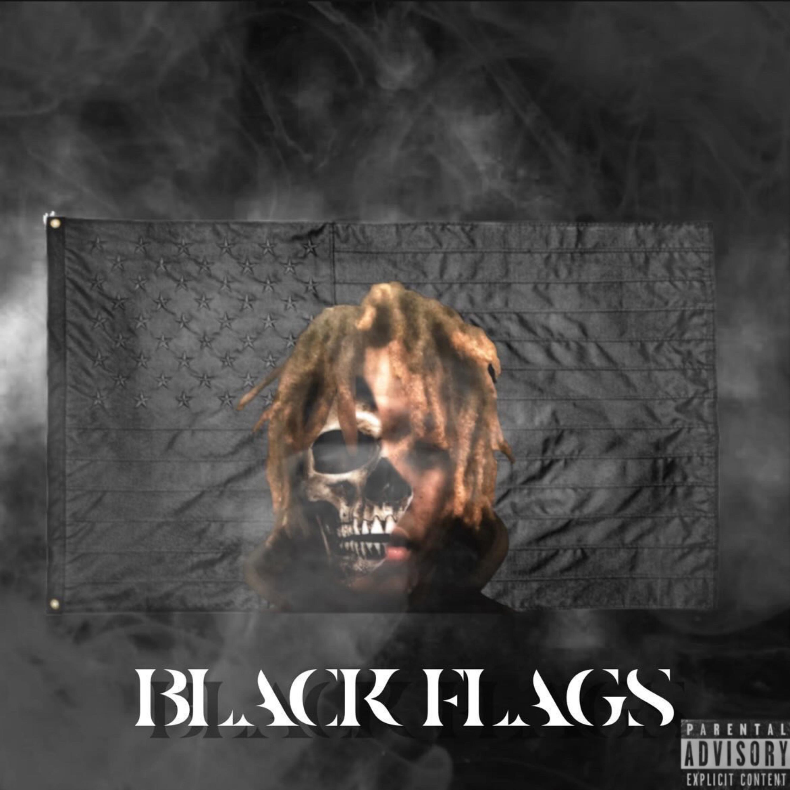 Black Flags:Lost Files artwork