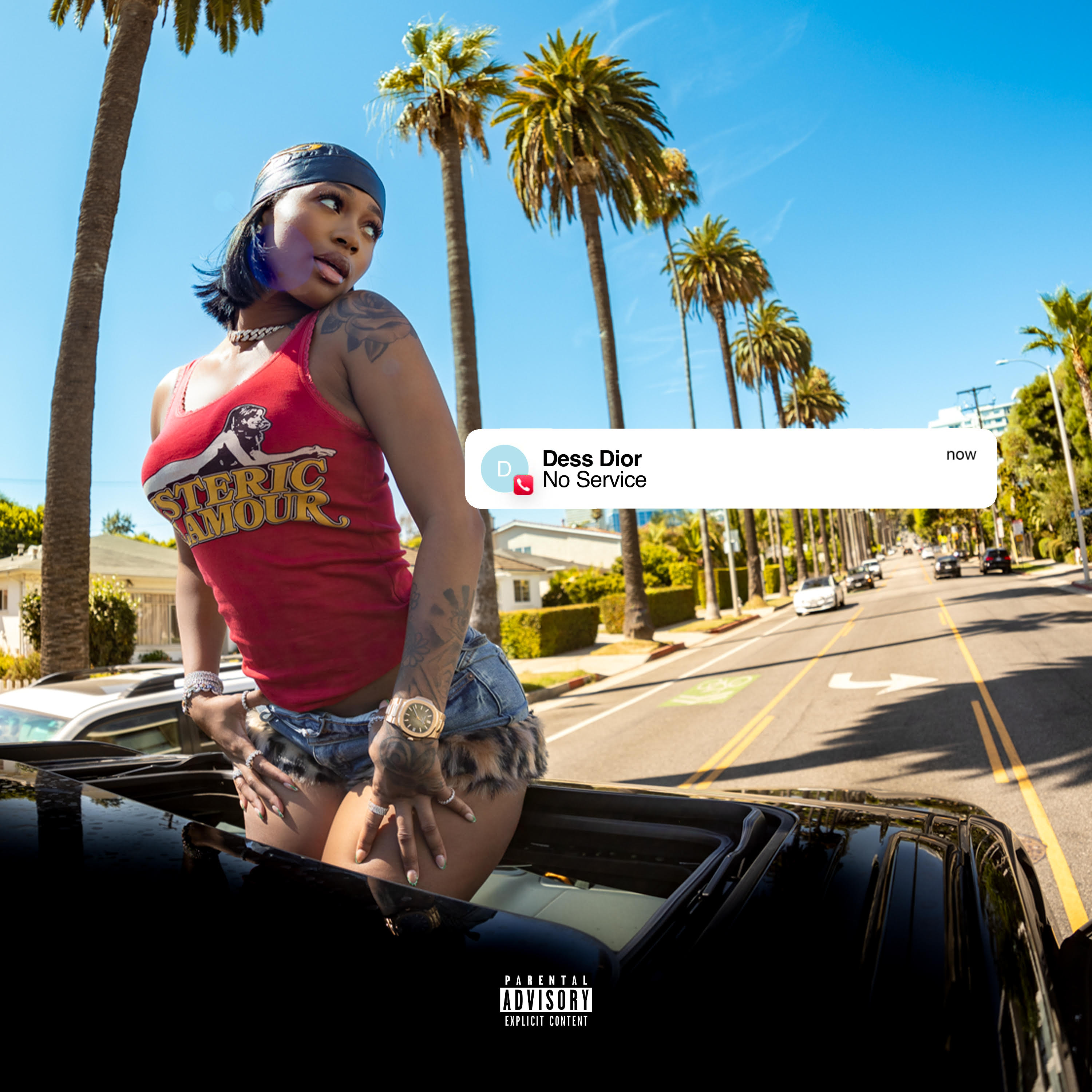 Ms. Put It On artwork