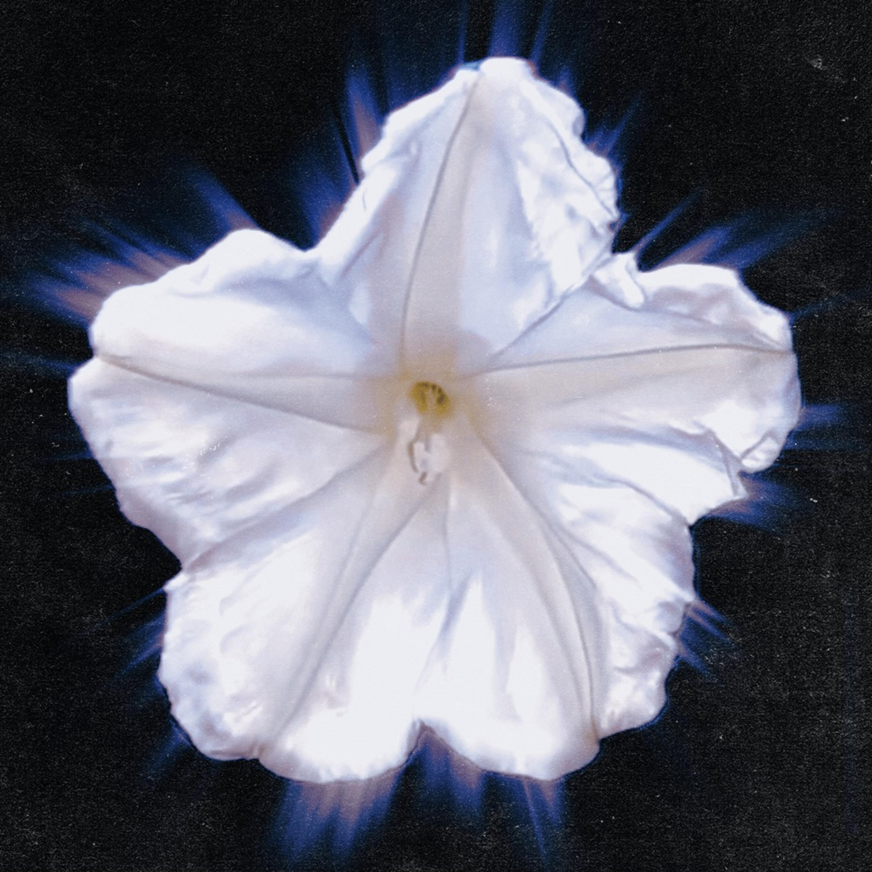 BrightSide (Acapella Version) artwork