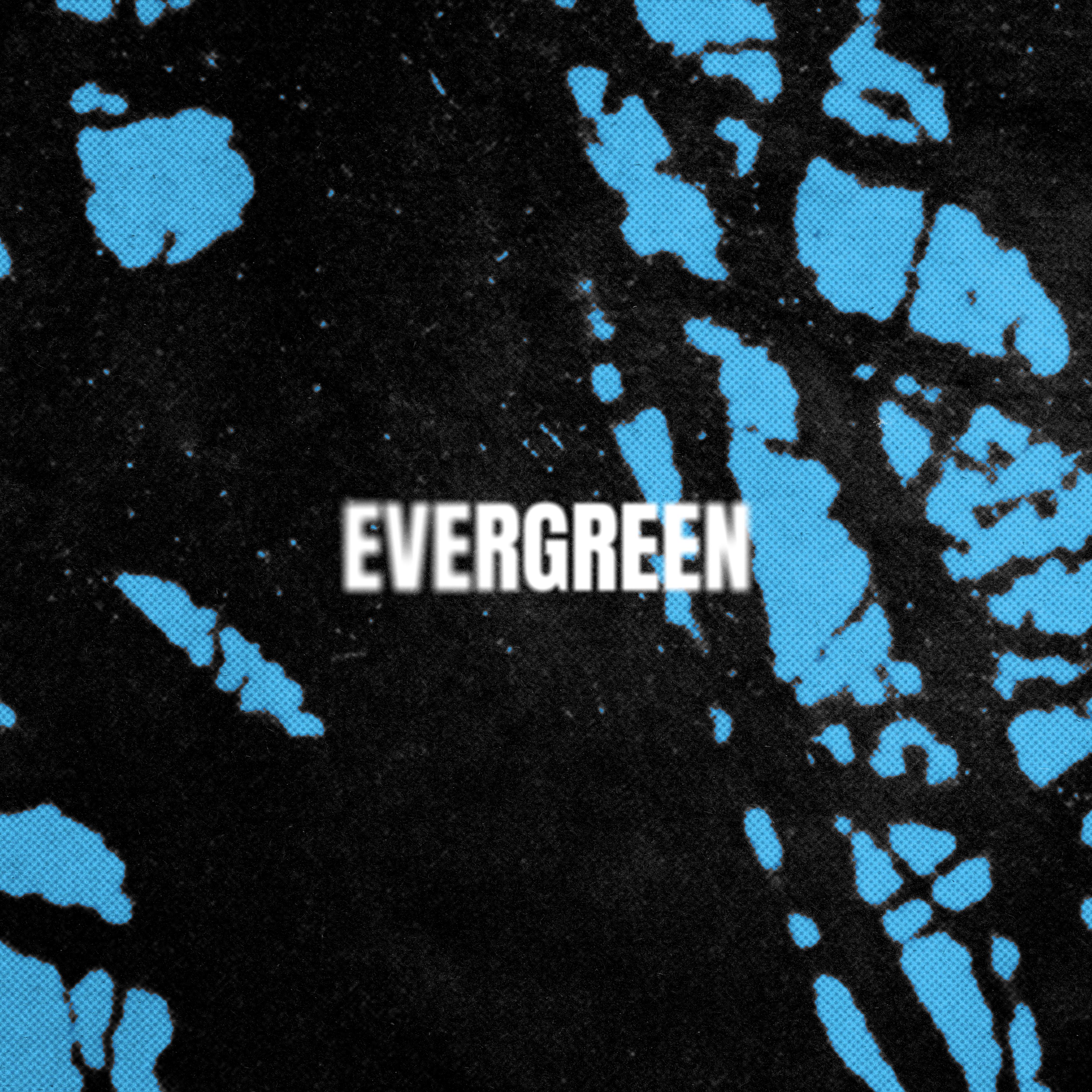 Evergreen artwork