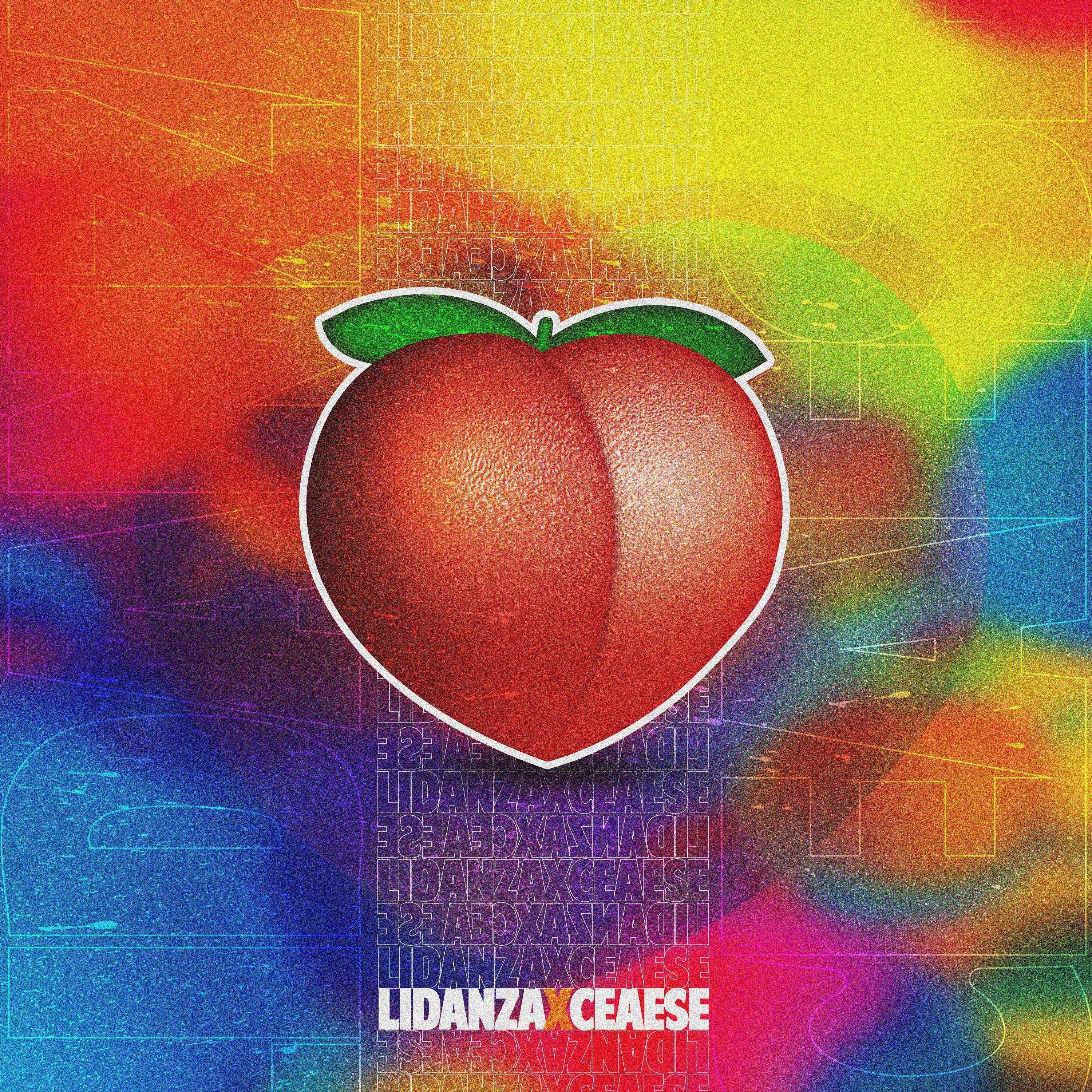 POTO by Lidanza cover art