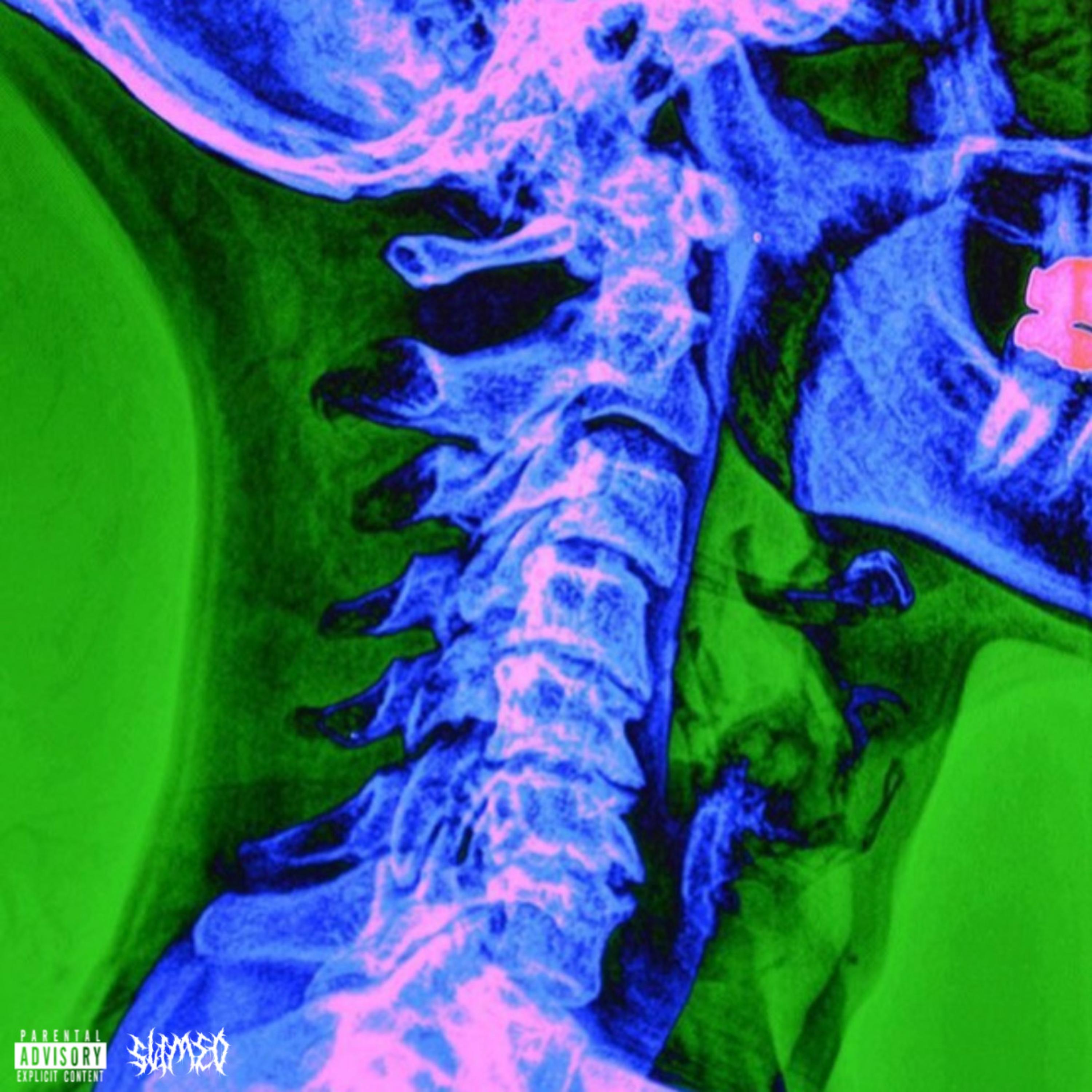 EVOLUTION artwork