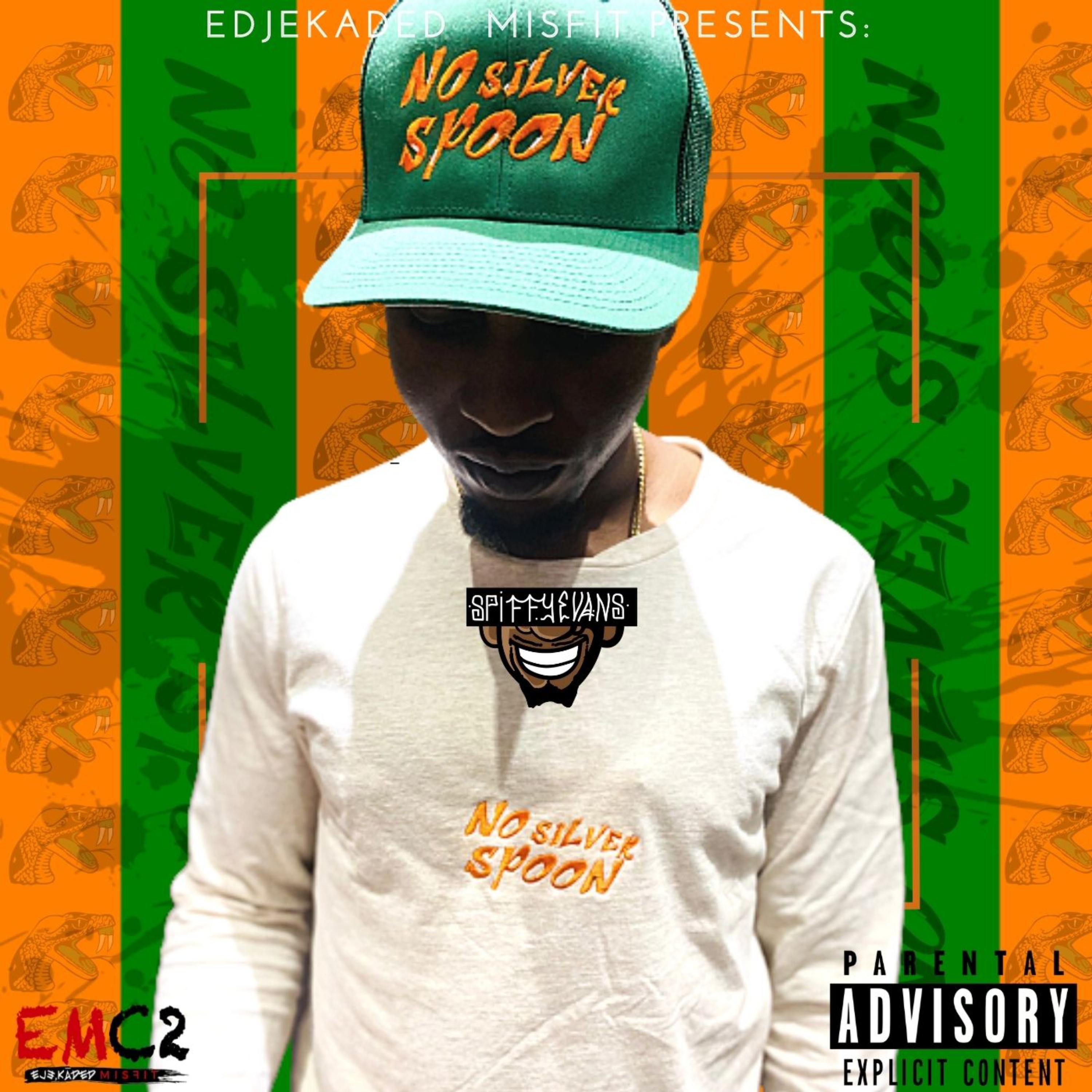 No Silver Spoon artwork