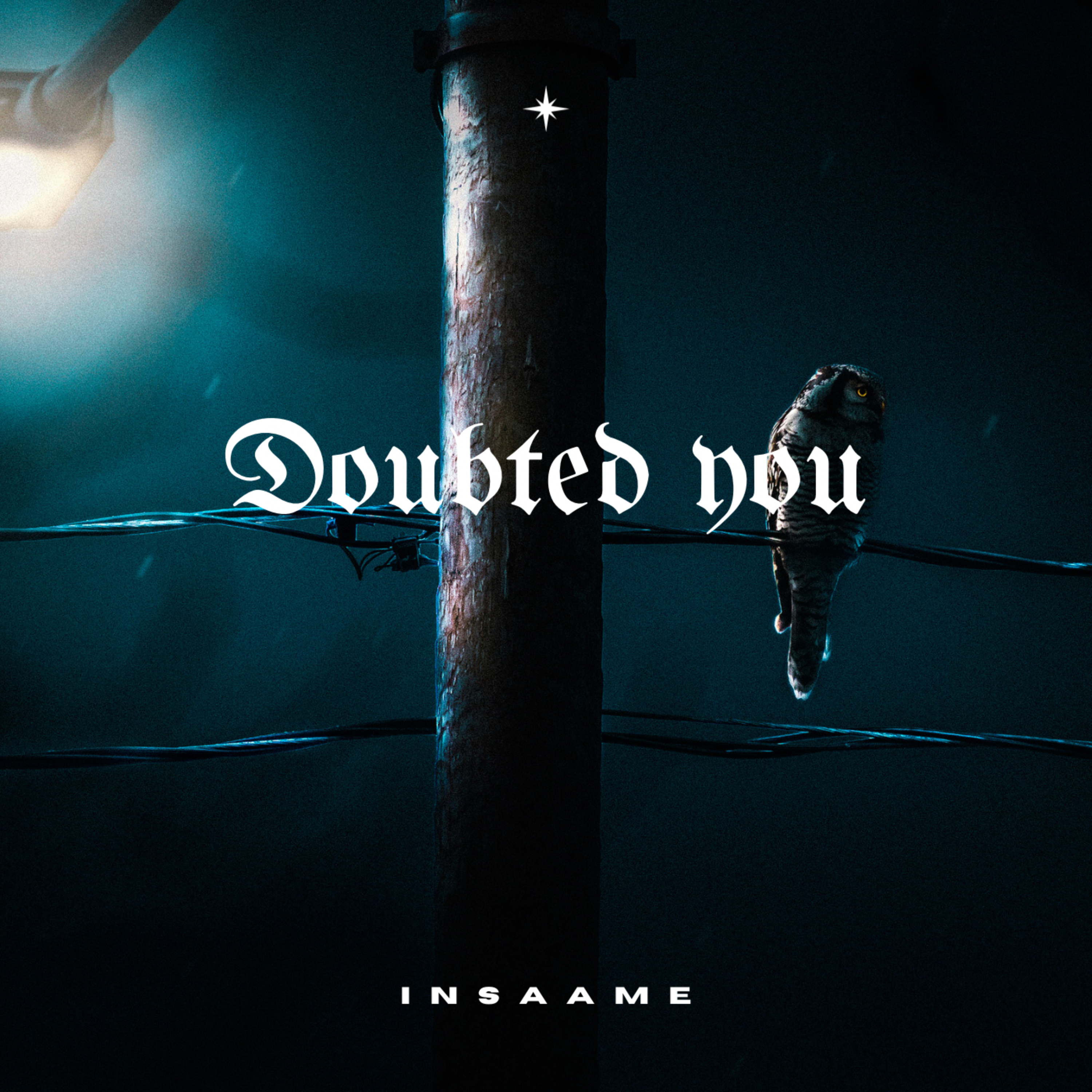 Doubted You artwork