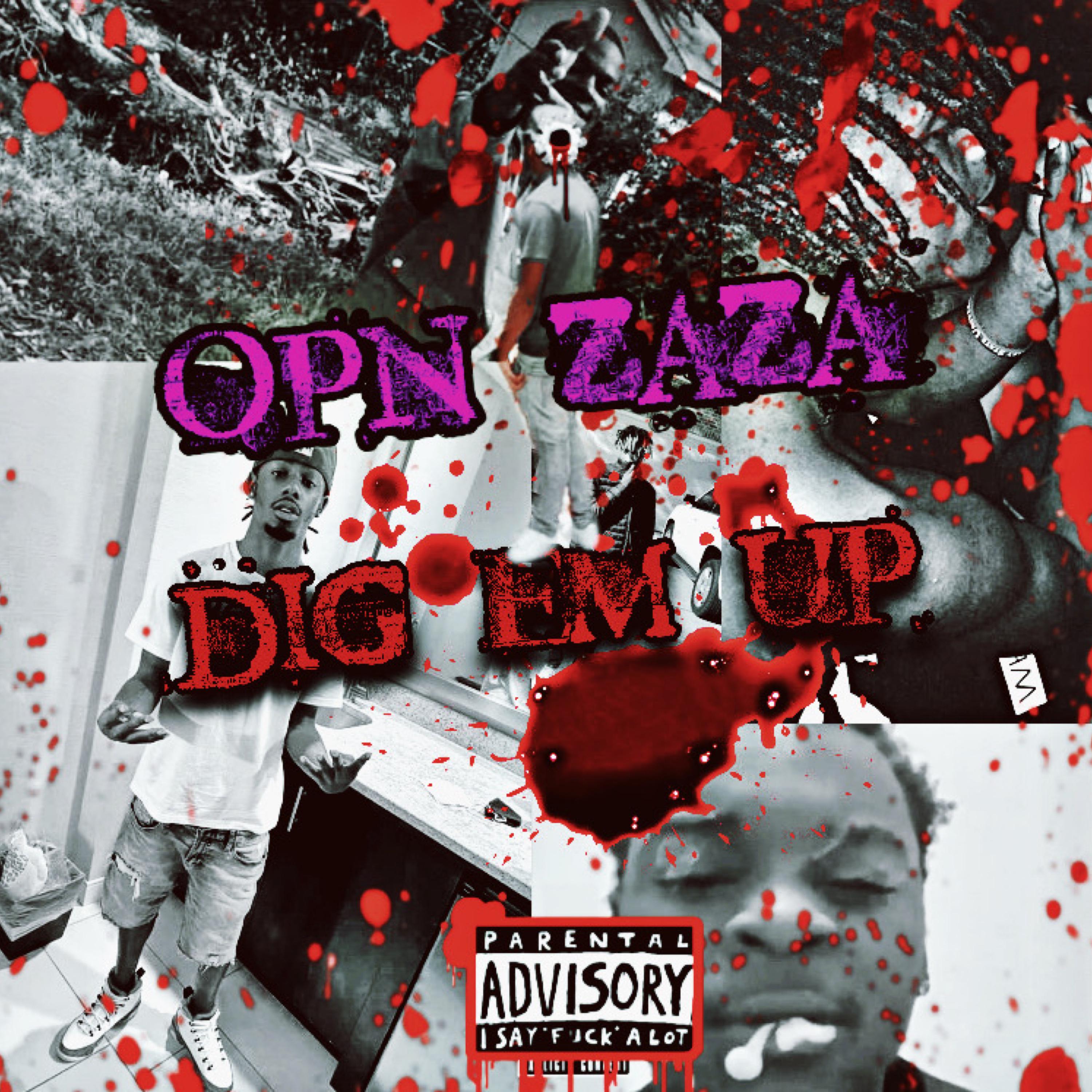 DIG EM UP artwork