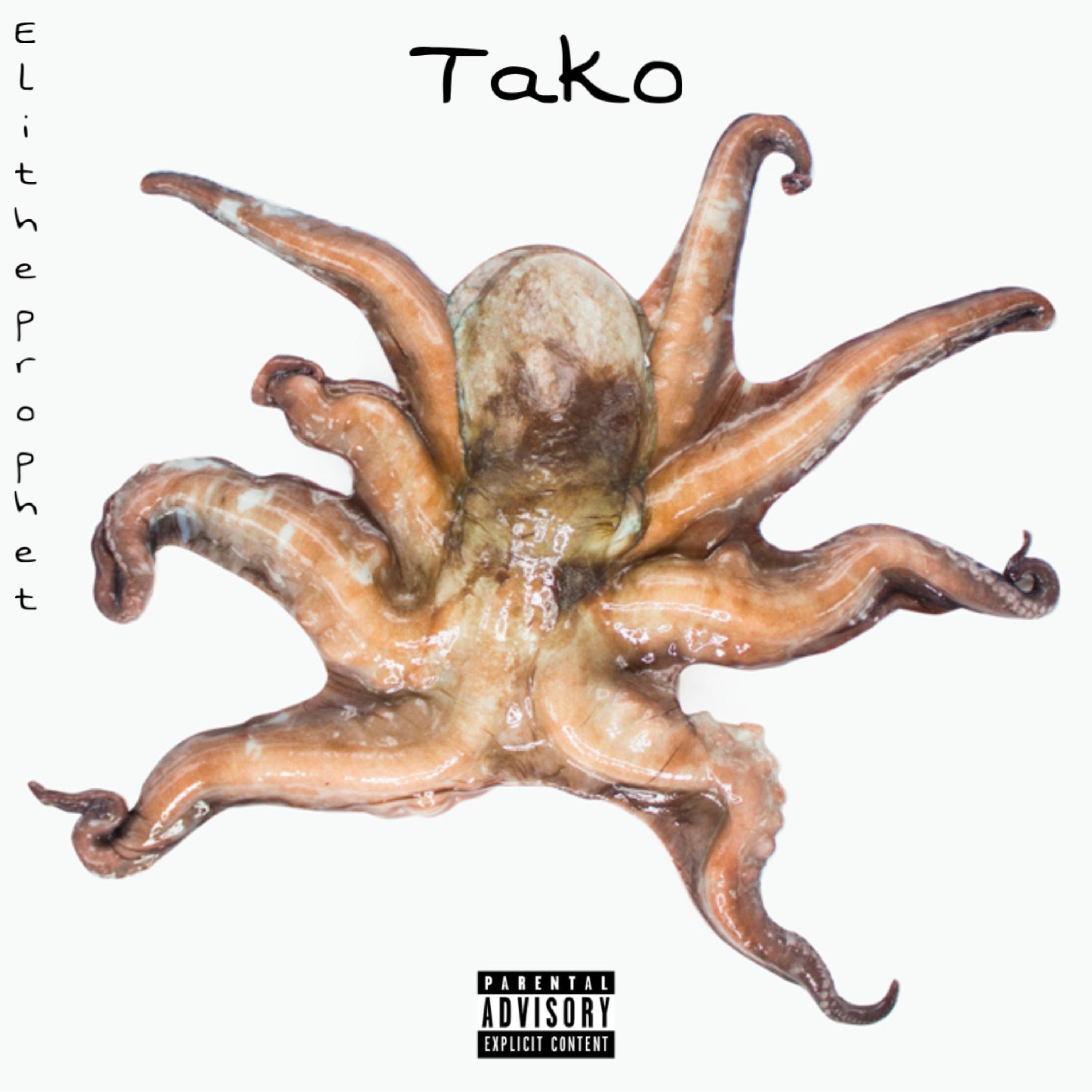 Tako artwork