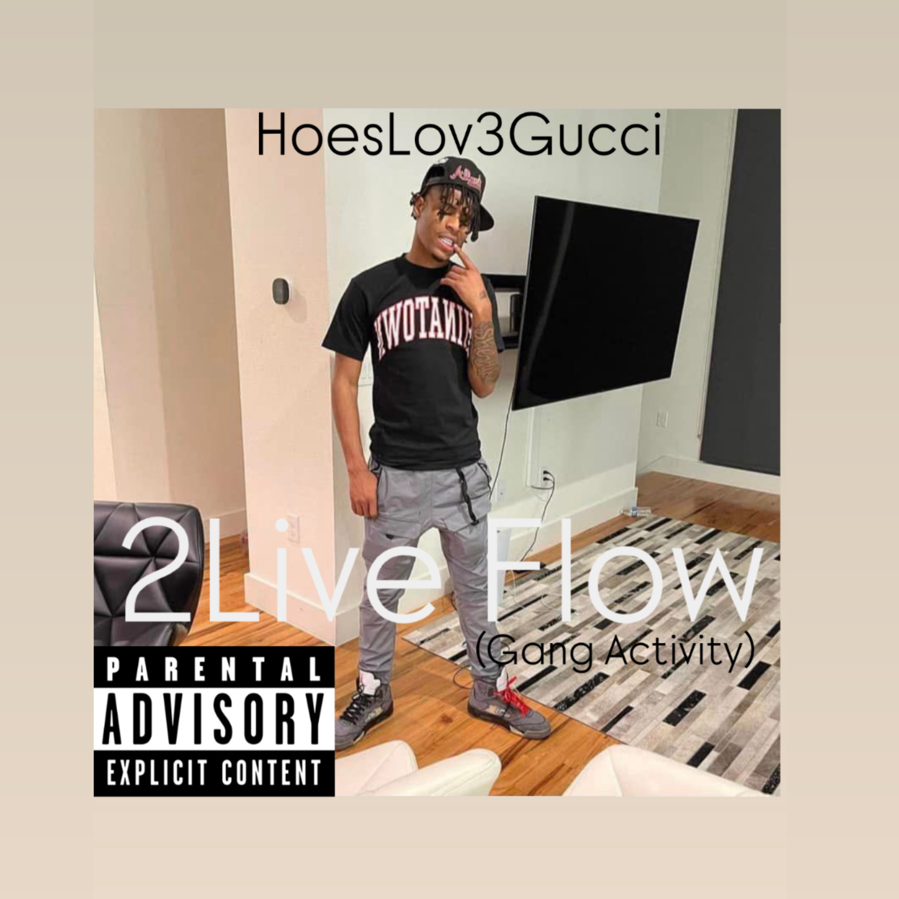2live Flow artwork